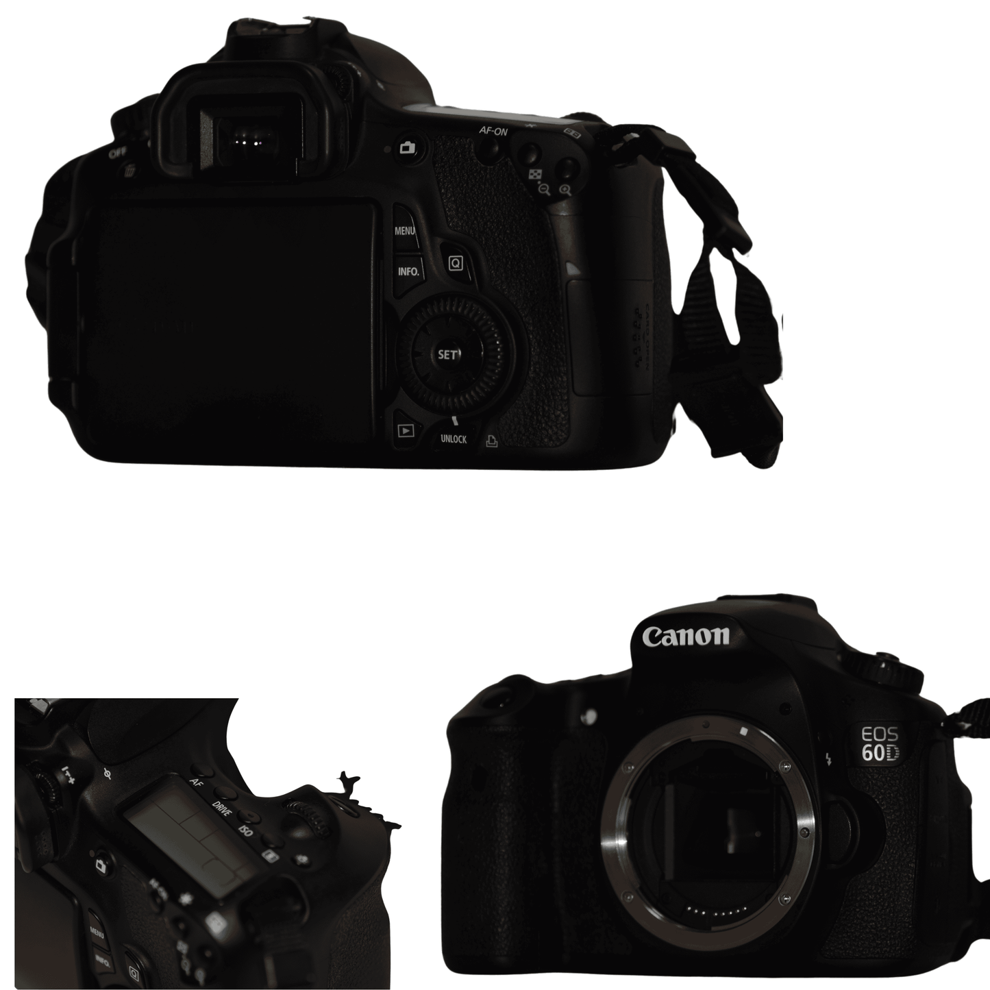 Appareil photo DSLR : Canon EOS 60D