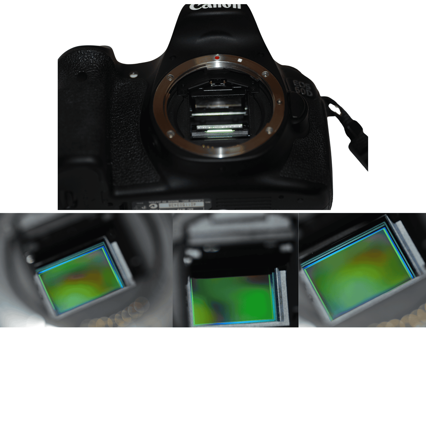 Appareil photo DSLR : Canon EOS 60D