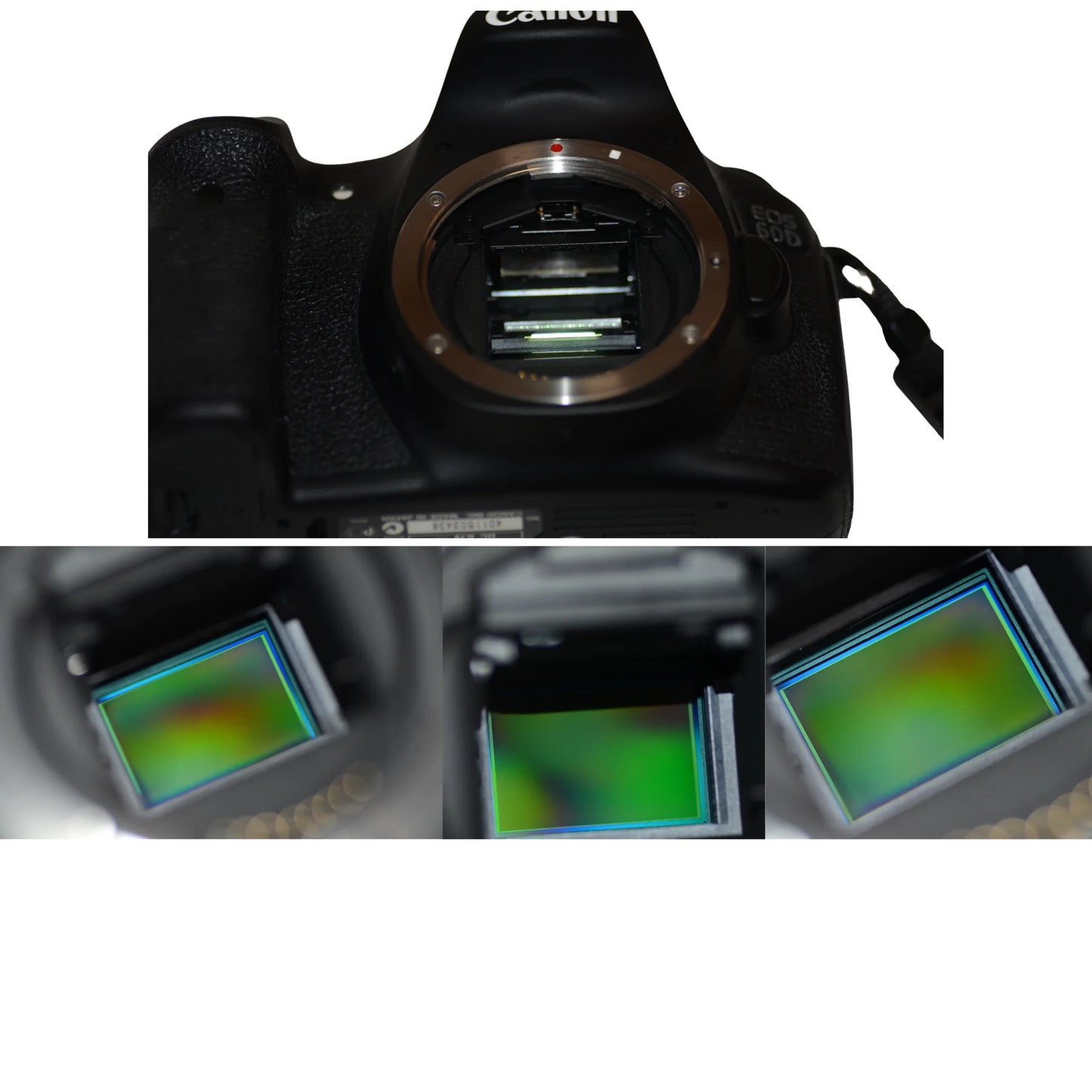 Appareil photo DSLR : Canon EOS 60D - ChitoroShop