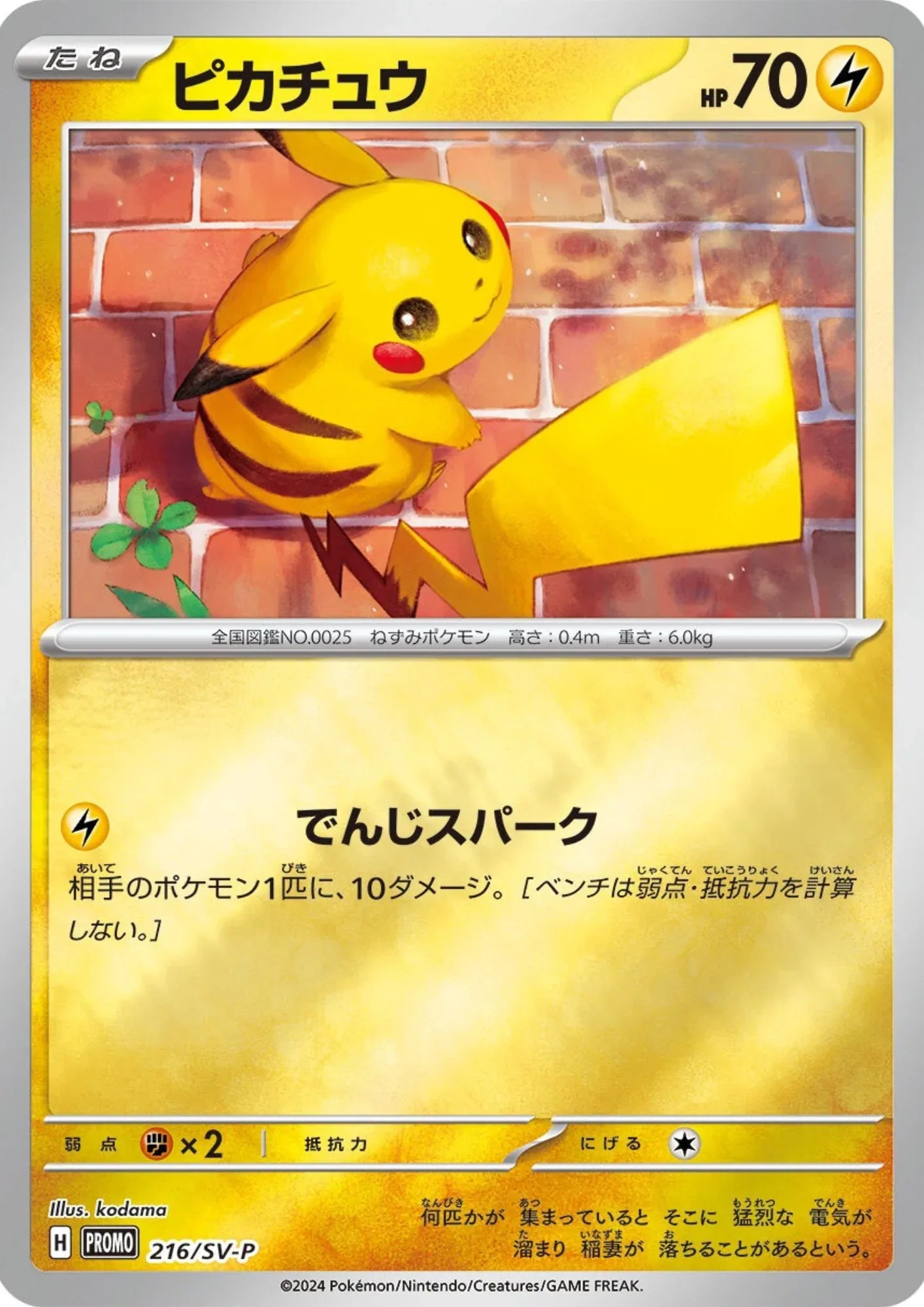 Pikachu 216/SV-P | Promo - ChitoroShop