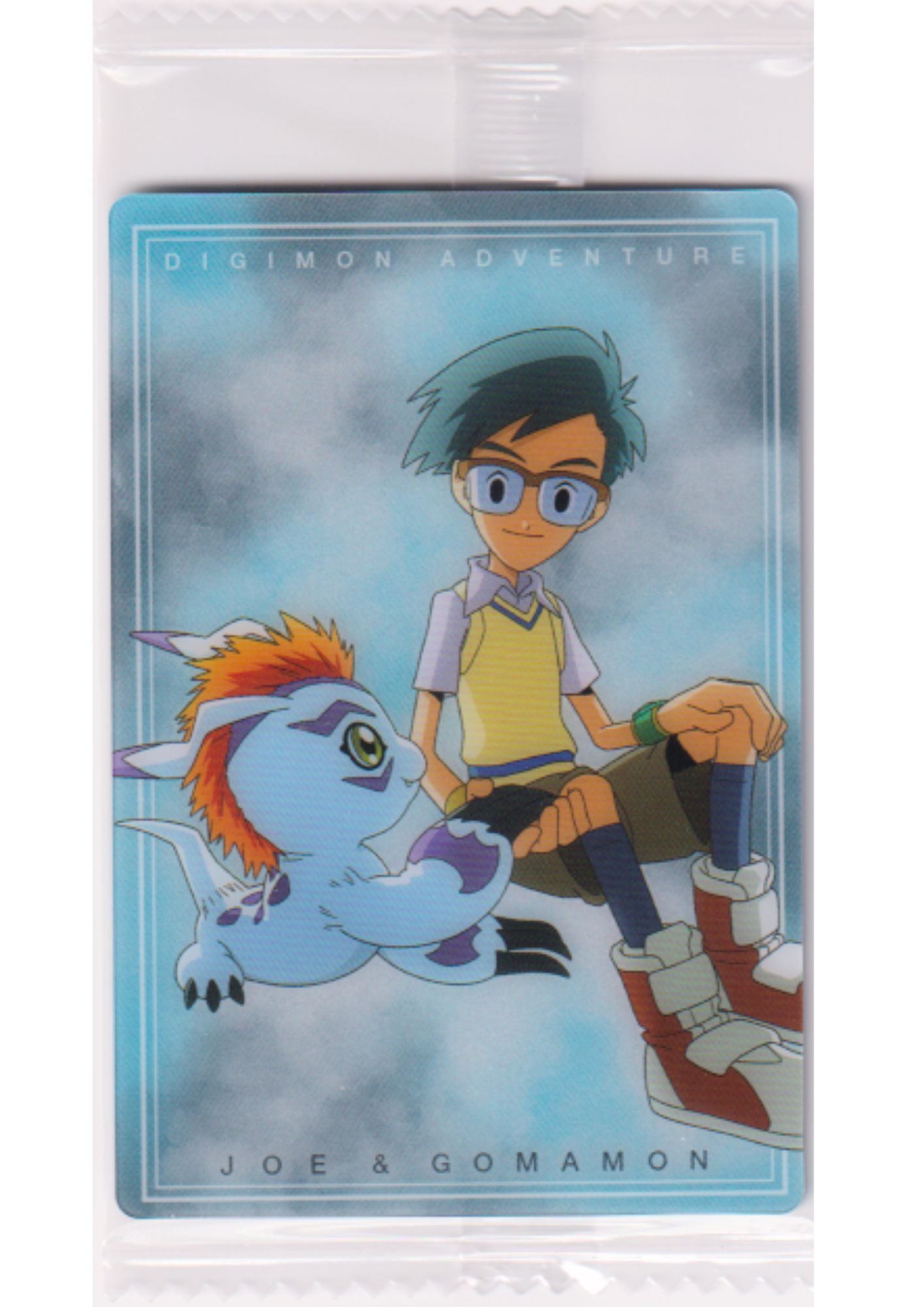 Joe & Gomamon No.6 | Digimon Bandai Wafer Card