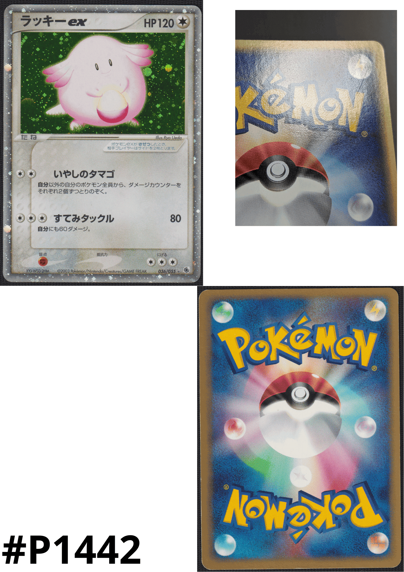 Chansey ex 036/055 | ADV Expansion Pack ChitoroShop