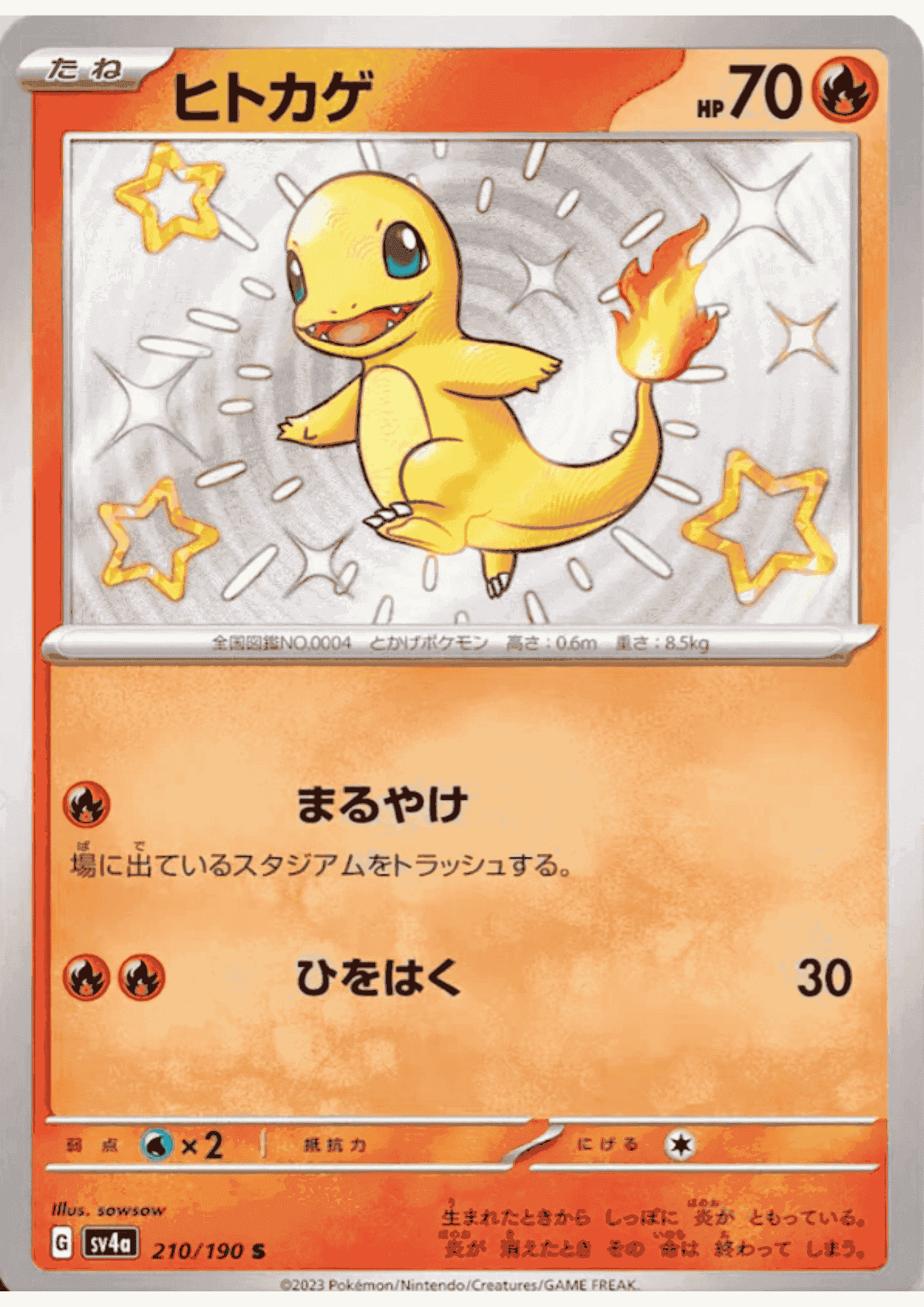 Charmander 210/190 S | SV4a | Shiny Treasure ex ChitoroShop