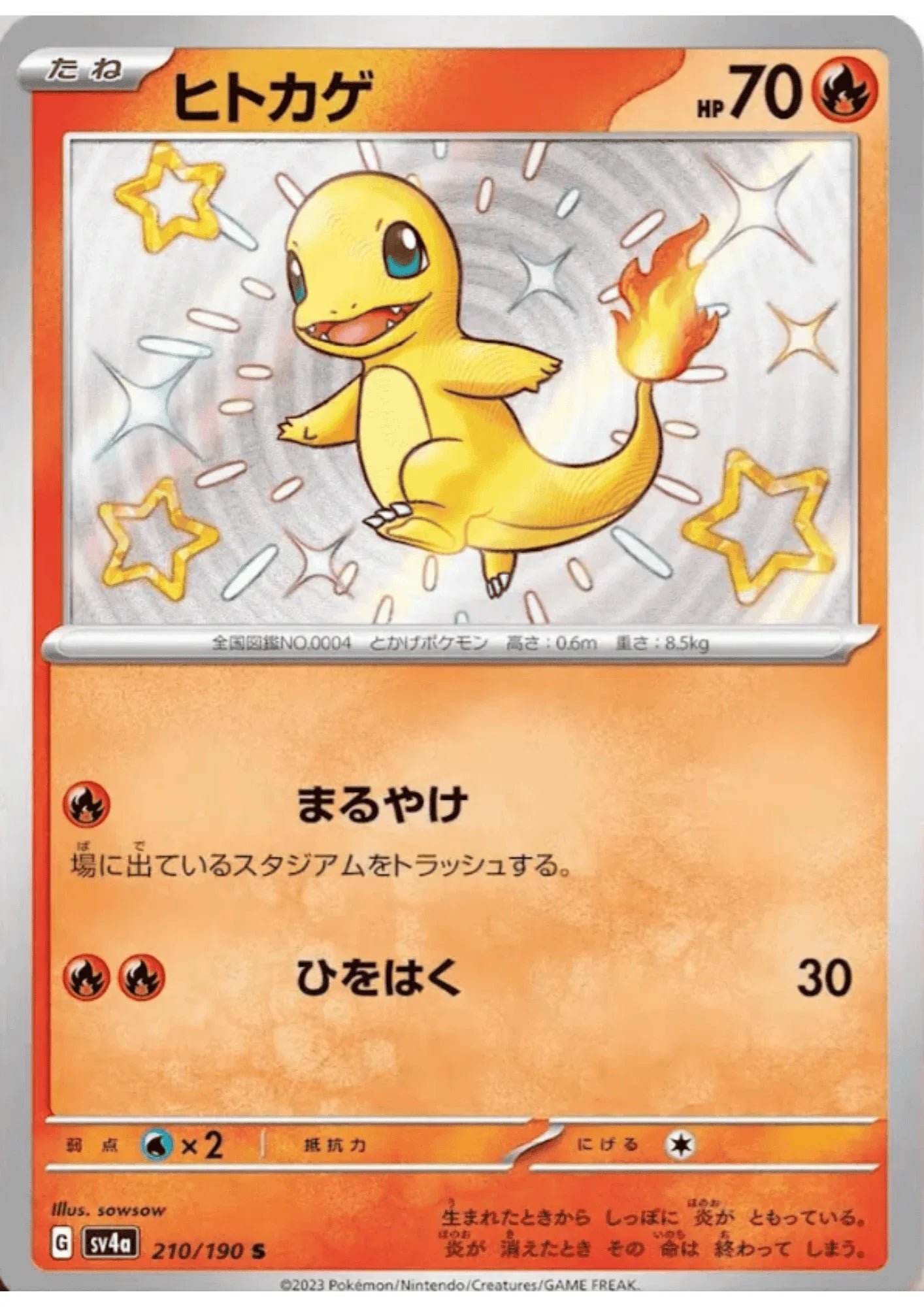 Charmander 210/190 S | SV4a Shiny Treasure ex - ChitoroShop