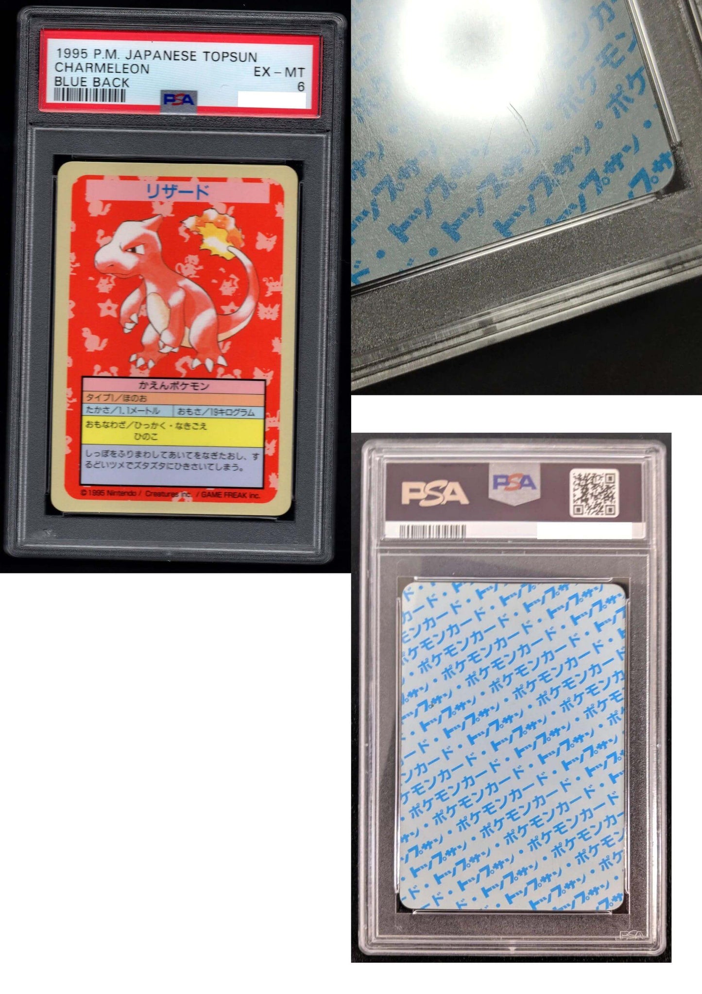 Charmeleon No Number Error | Topsun | PSA ChitoroShop