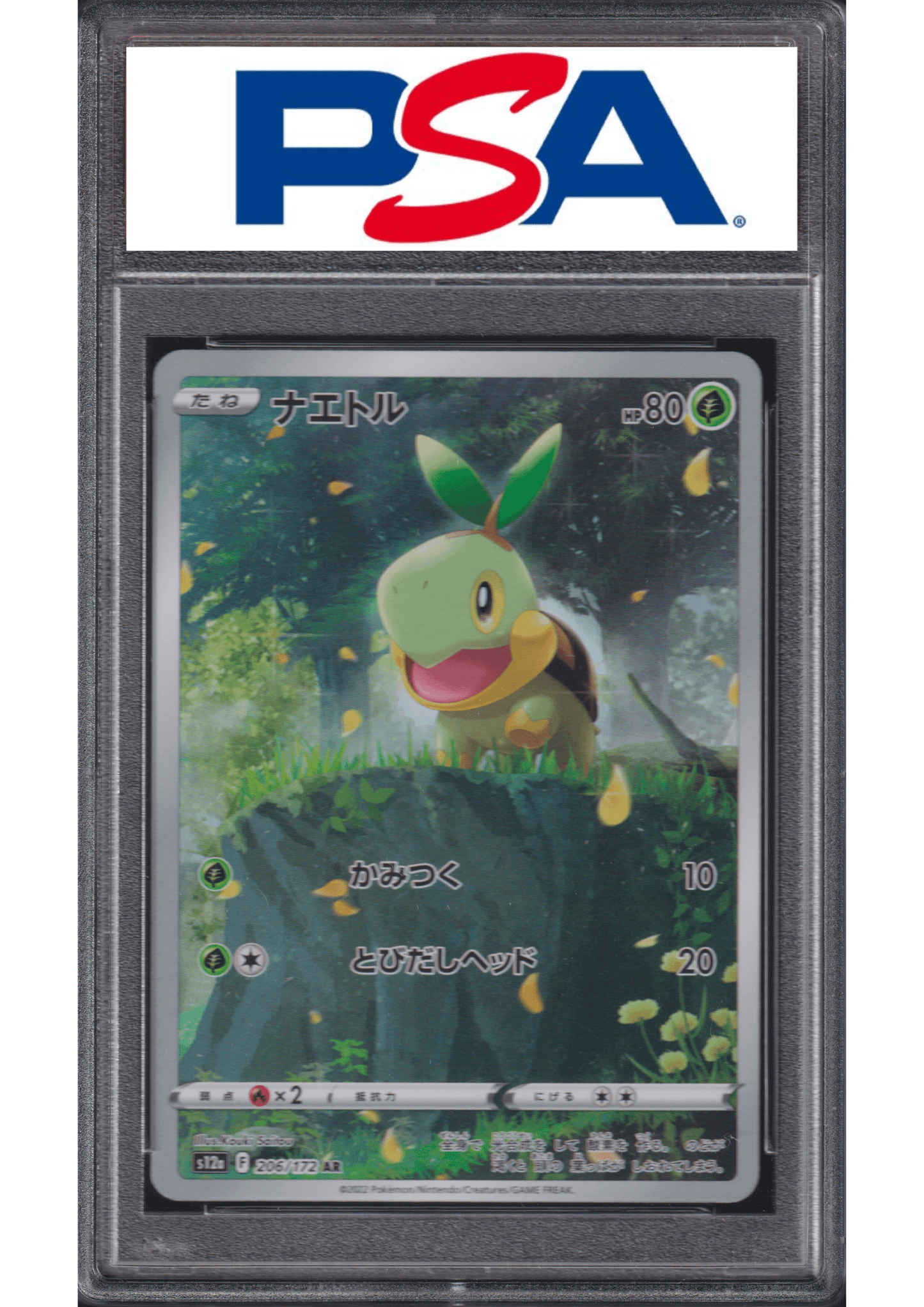 Turtwig 206/172 AR | Pokémon VSTAR Universe | PSA