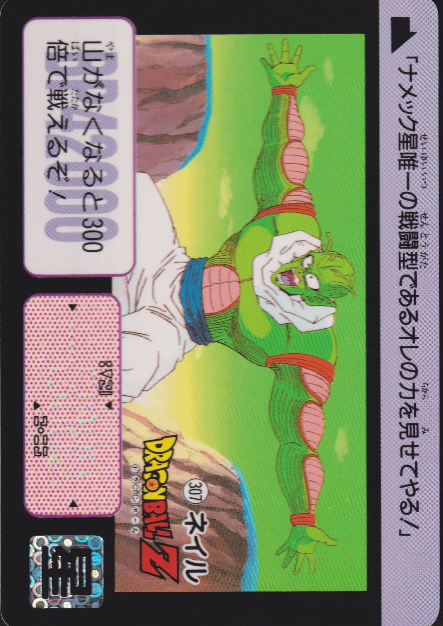 Nail No.307 | Carddass Hondan - ChitoroShop