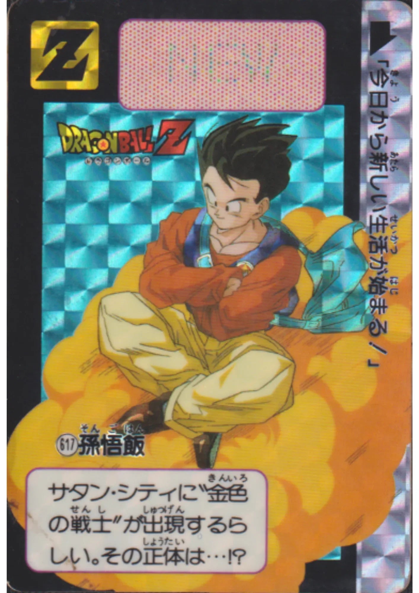 Gohan No.617 | Carddass Hondan - ChitoroShop