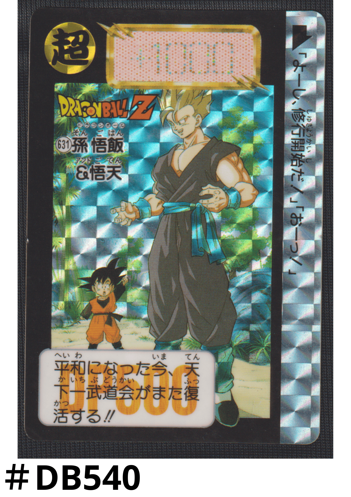 Gohan & Goten No.631 | Carddass Hondan