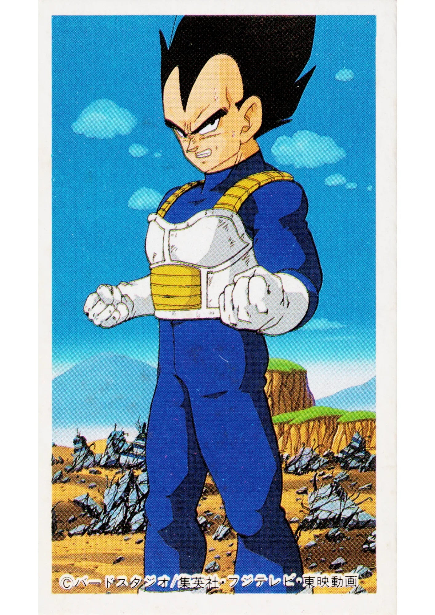 Vegeta| Dragon Ball MENKO - ChitoroShop