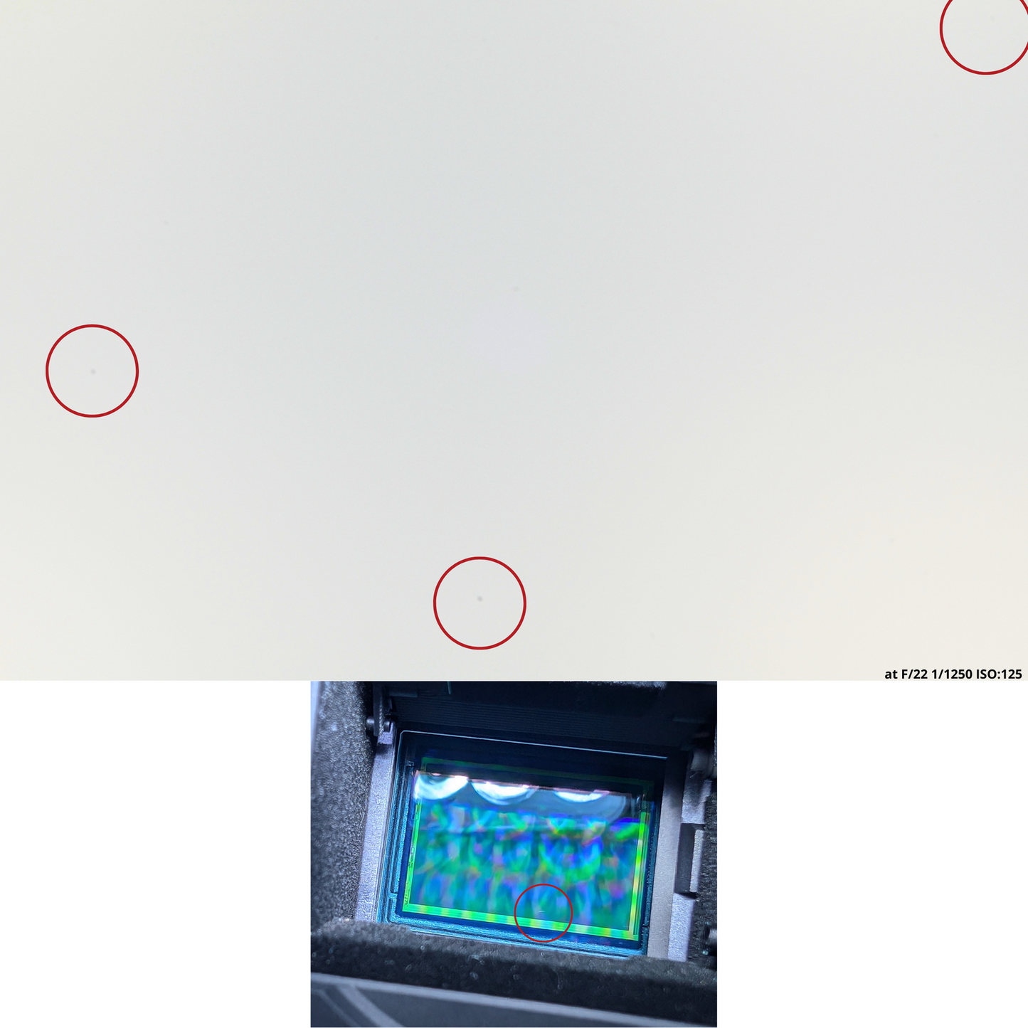 Appareil photo DSLR : Nikon D7000