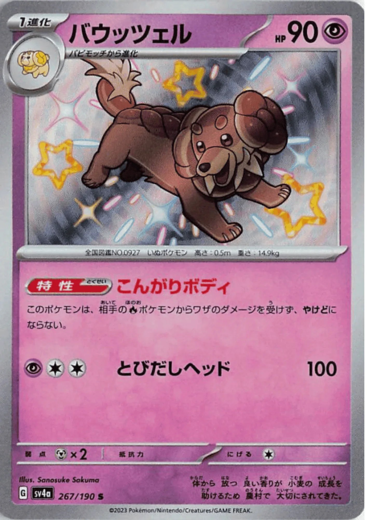 Dachsbun 267/190 S | SV4a | Shiny Treasure ex - ChitoroShop