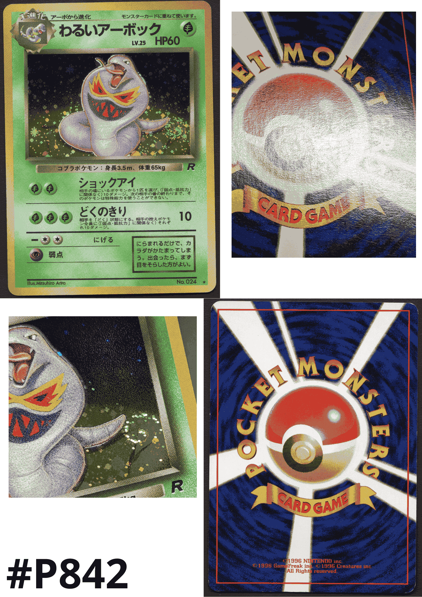 Dark Arbok No.024 | Rocket Gang ChitoroShop