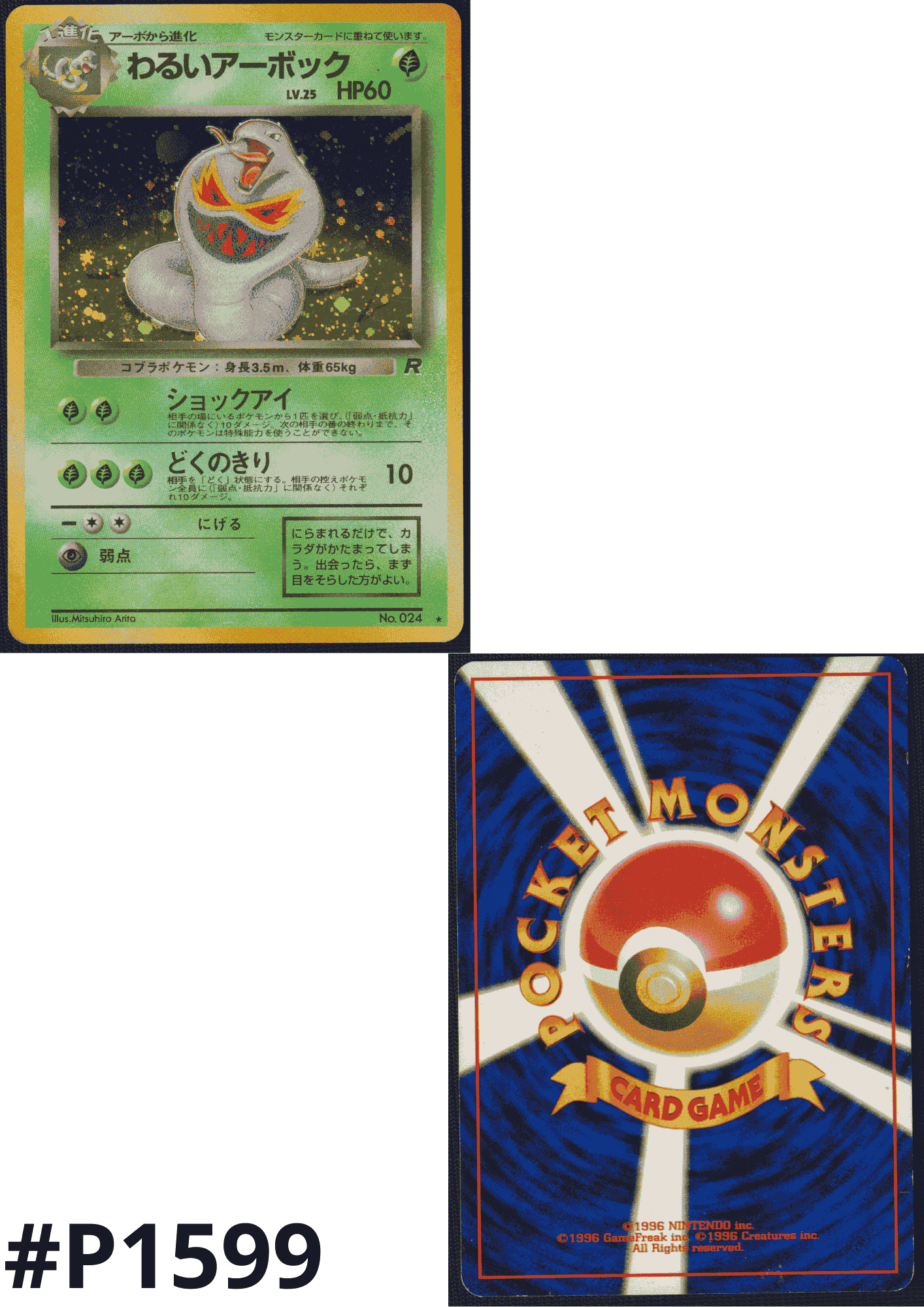 Dark Arbok No.024 | Rocket Gang ChitoroShop