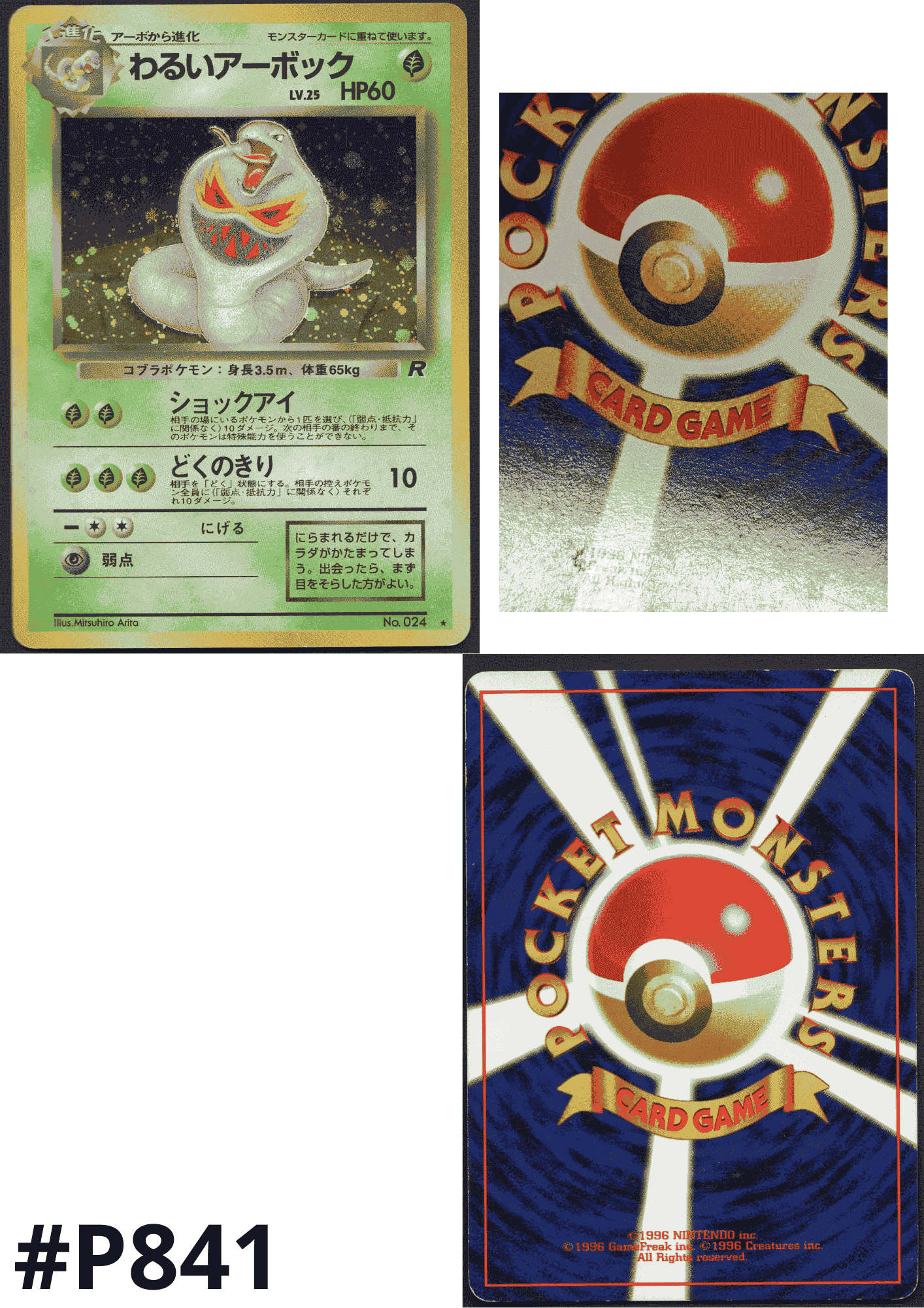 Dark Arbok No.024 | Rocket Gang ChitoroShop
