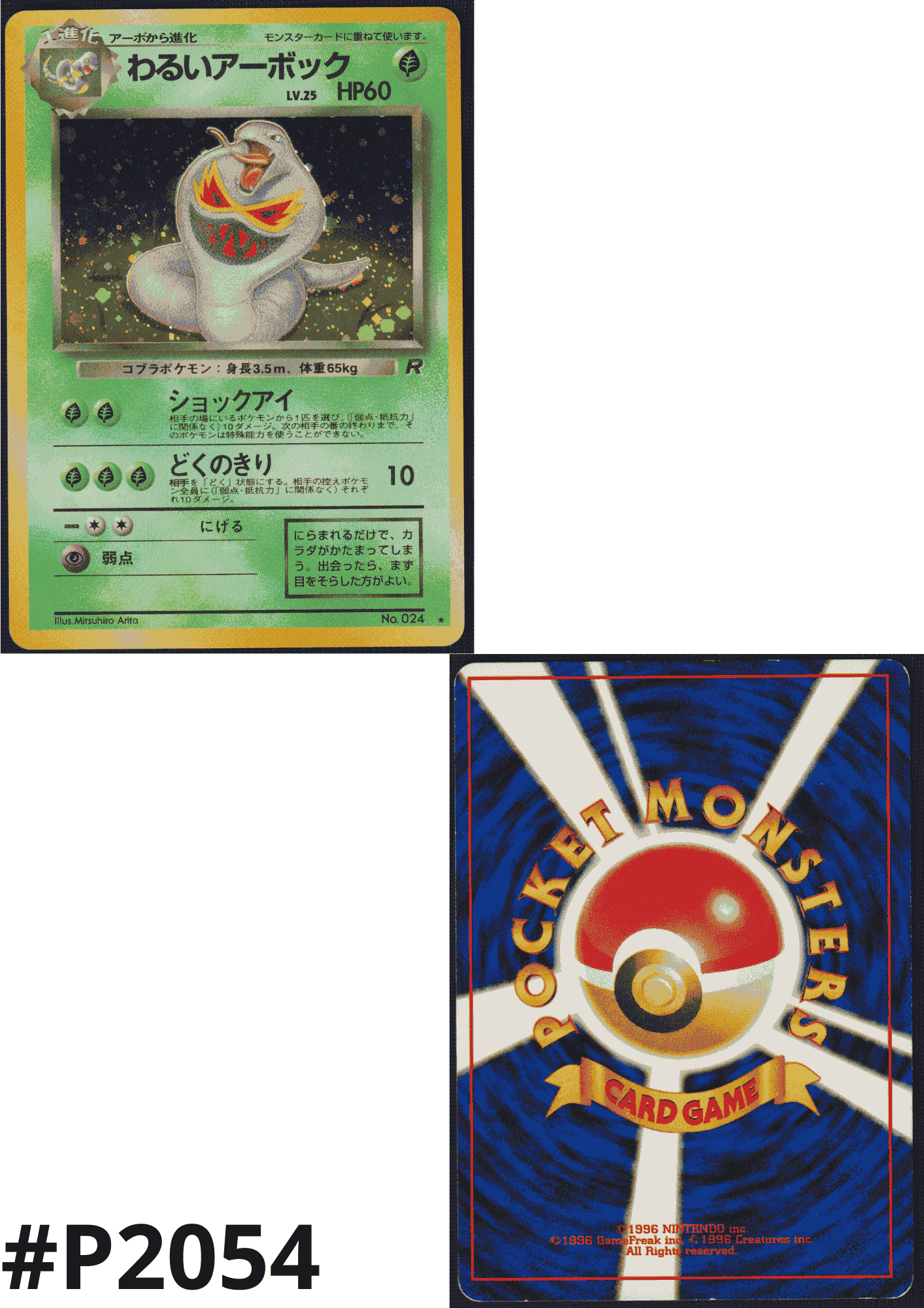 Dark Arbok No.024 | Rocket Gang ChitoroShop