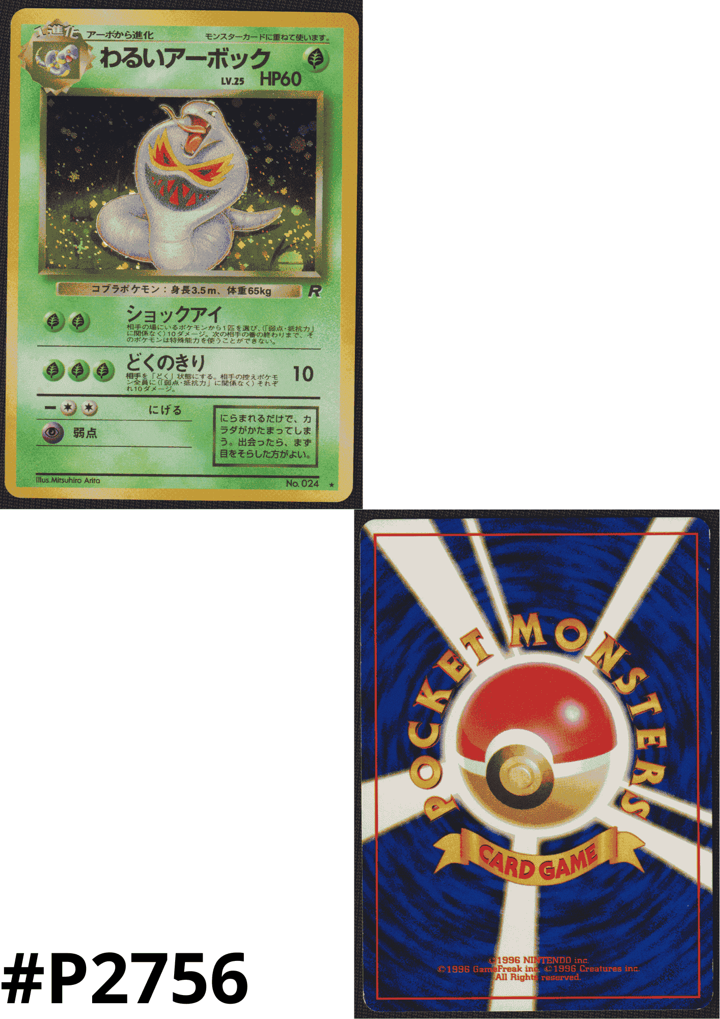 Dark Arbok No.024 | Rocket Gang ChitoroShop