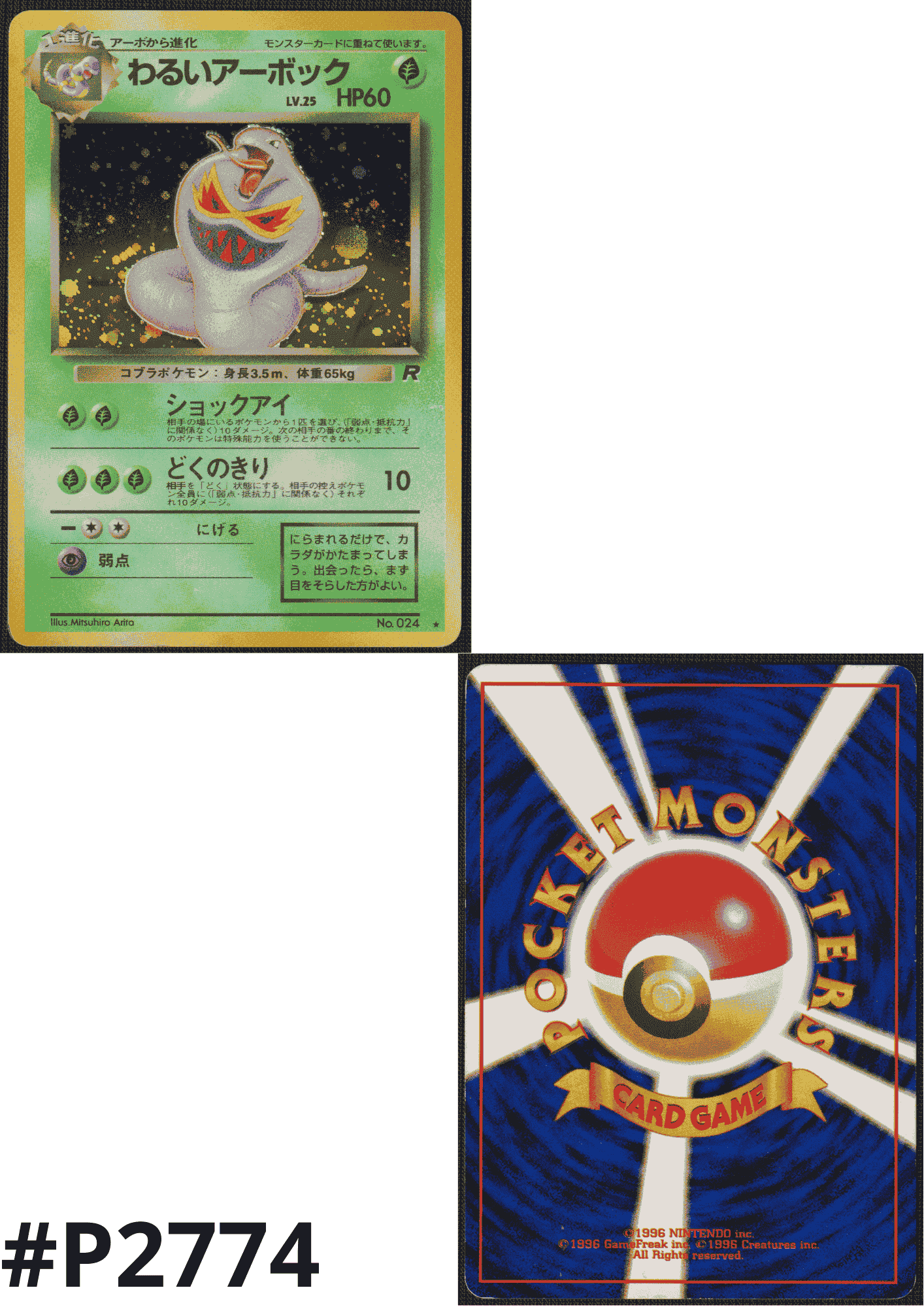Dark Arbok No.024 | Rocket Gang ChitoroShop