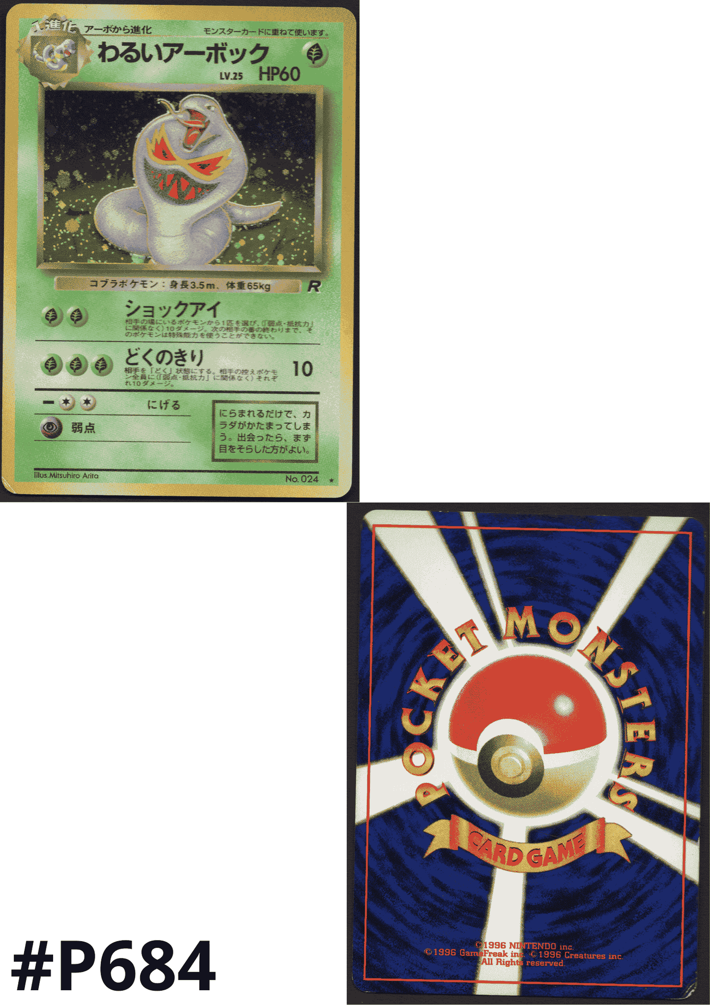 Dark Arbok No.024 | Rocket Gang ChitoroShop