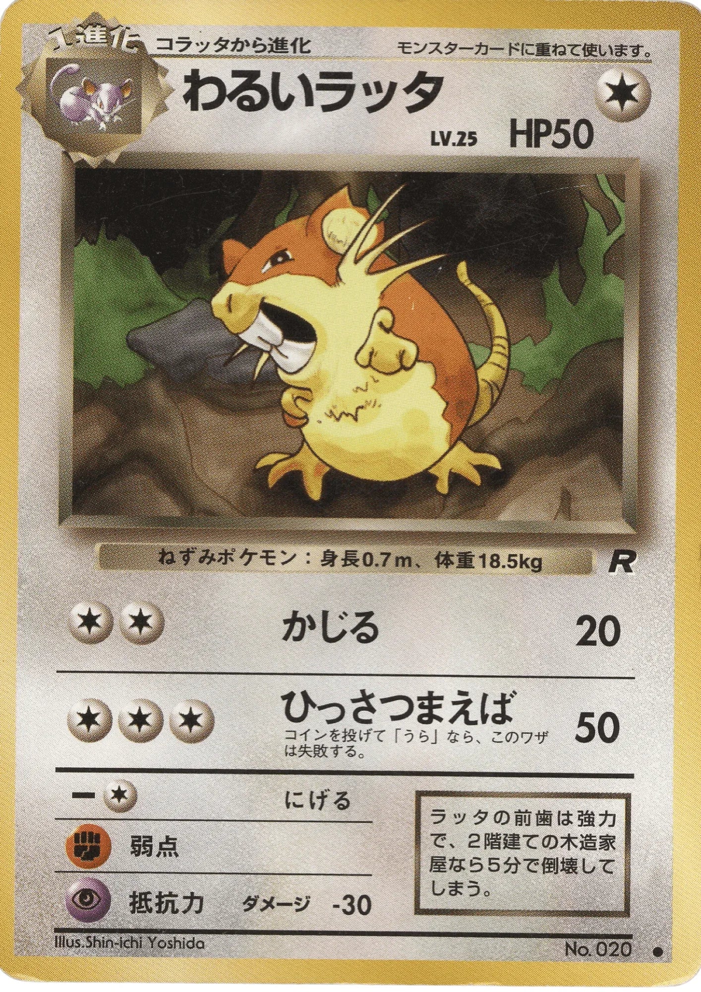 Dark Raticate No.020 | Rocket Gang - ChitoroShop