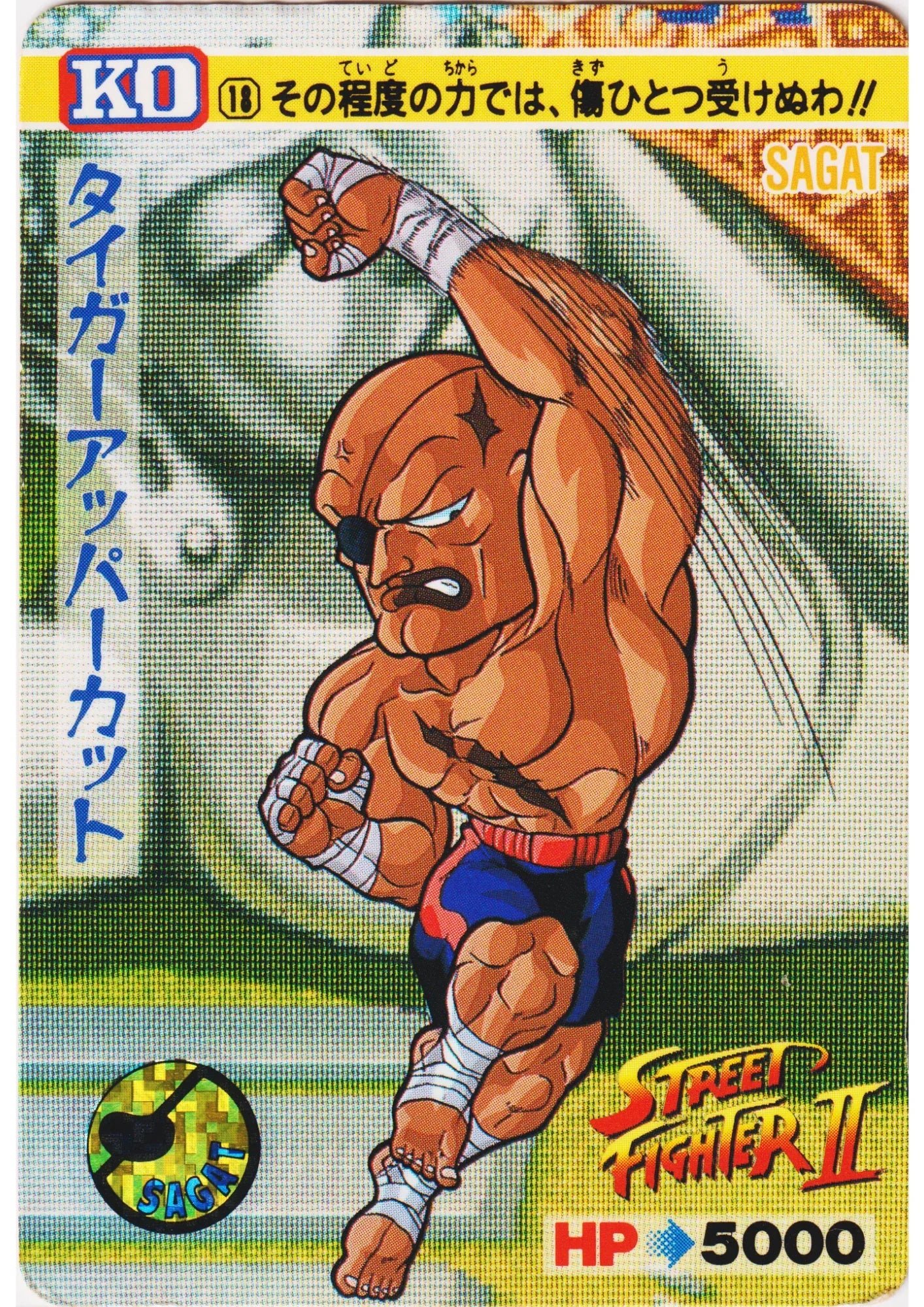 SAGAT 18 | Carddass Street Fighter II - ChitoroShop