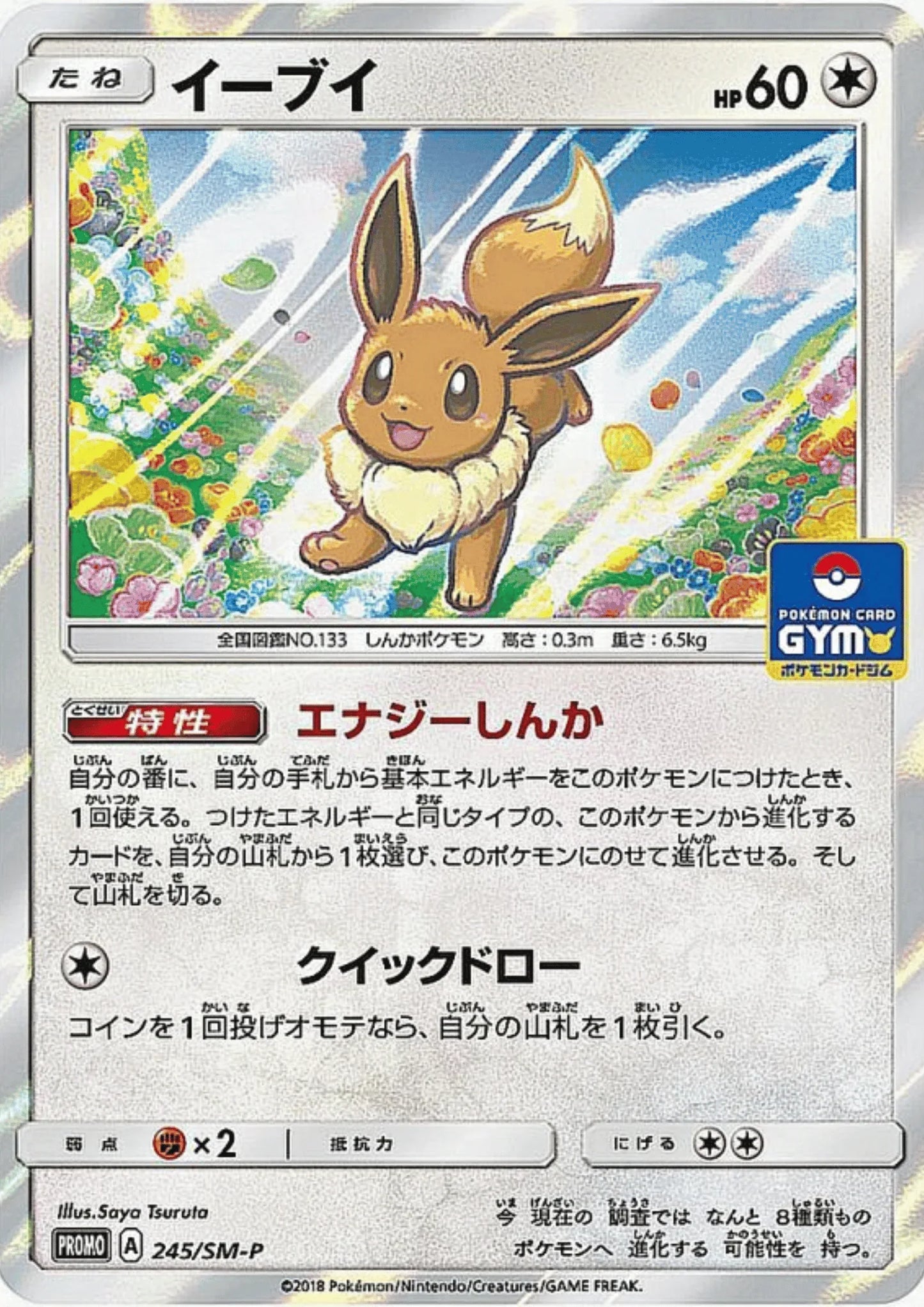 Eevee 245/SM-P | Sun and Moon Promo - ChitoroShop