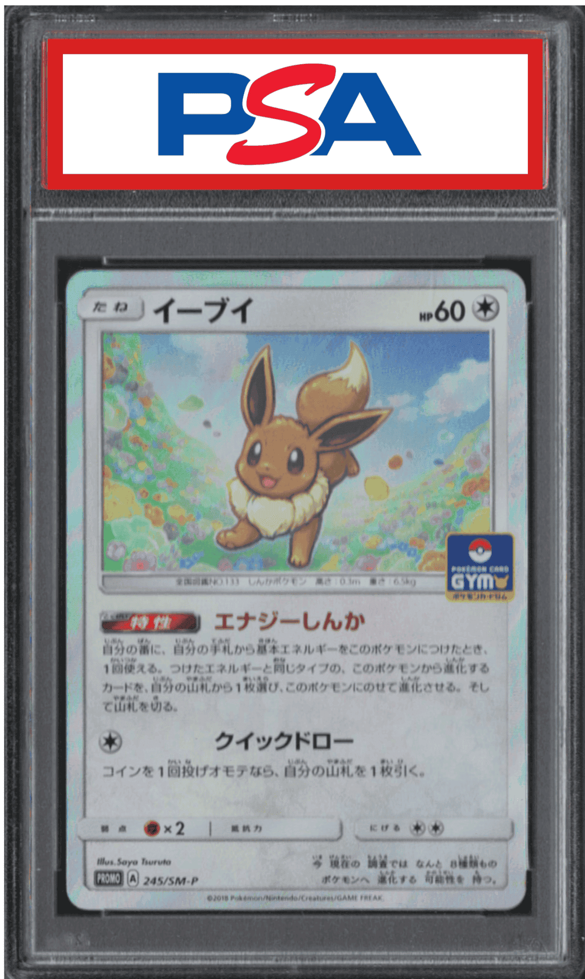 Eevee 245/sm-p | GX Start Battle Promo | PSA ChitoroShop