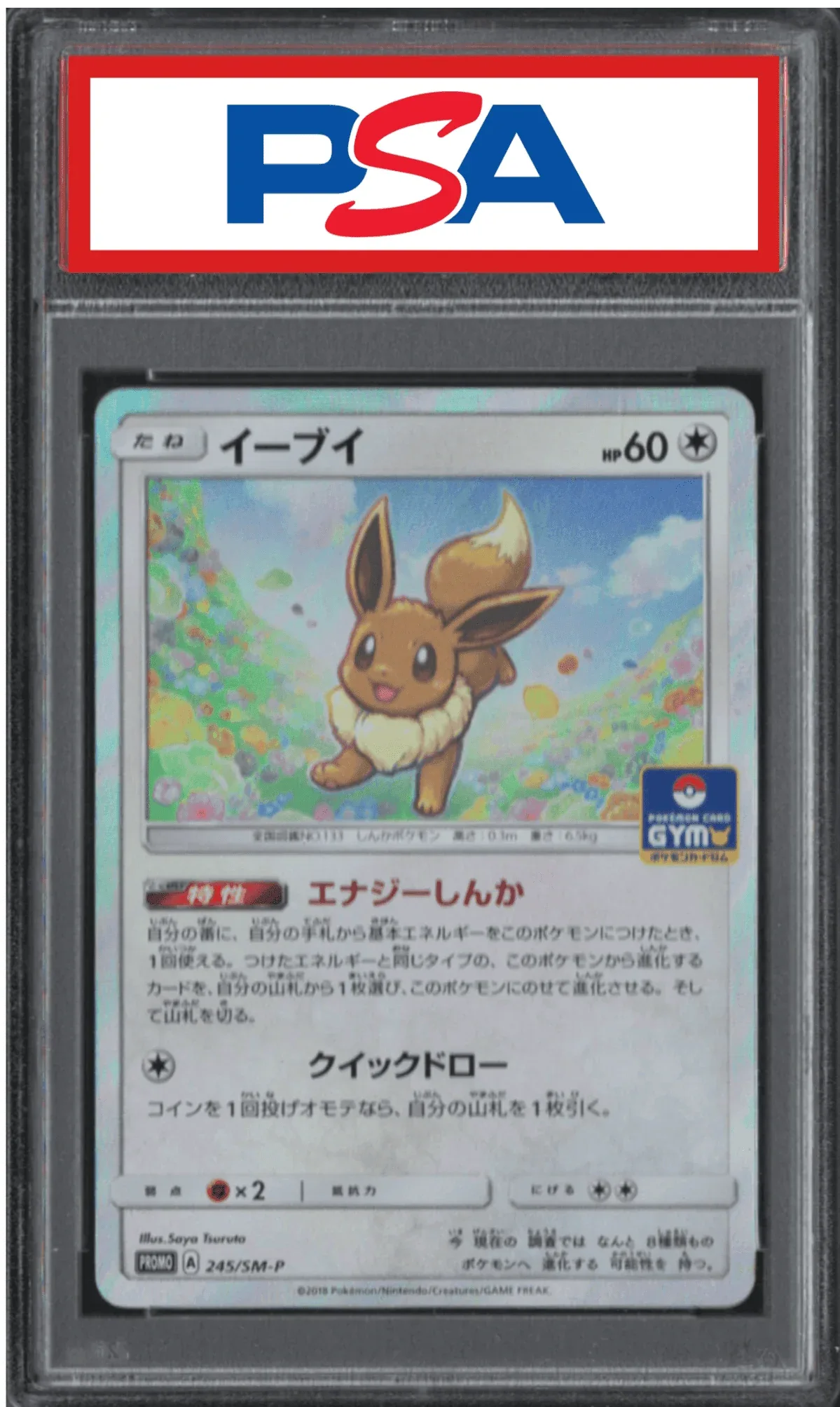 Eevee 245/sm-p | GX Start Battle Promo | PSA - ChitoroShop