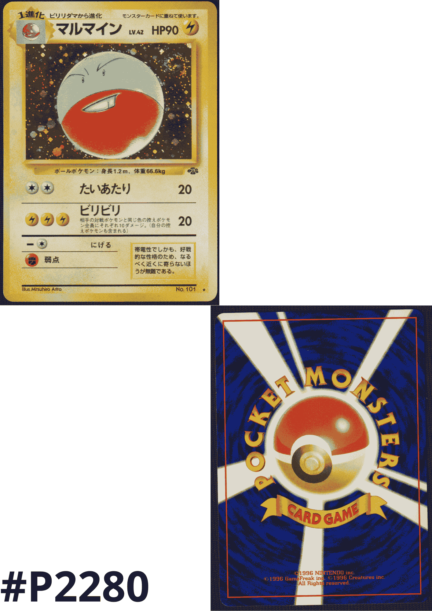 Electrode No.101 | Jungle set ChitoroShop