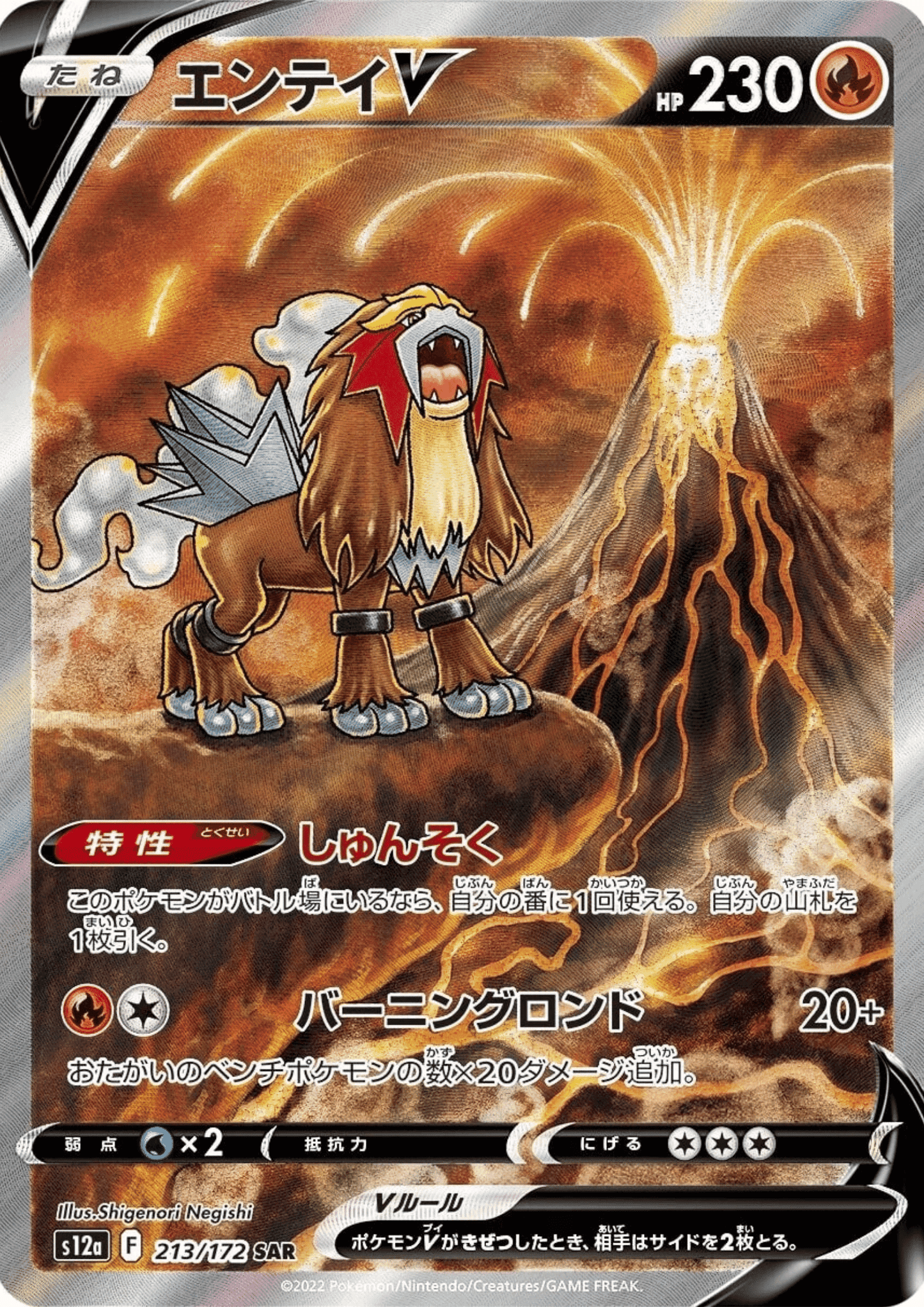 Entei V 213/172 SAR | Pokémon VSTAR Universe s12a ChitoroShop