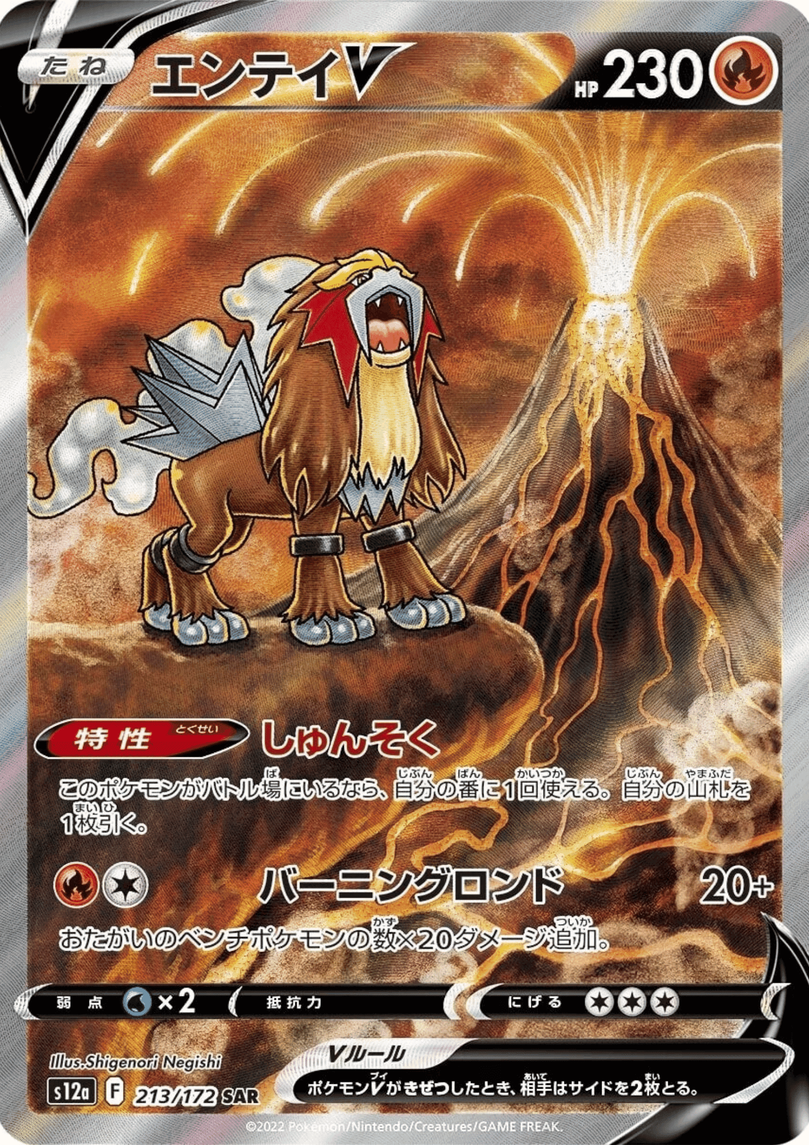 Entei V 213/172 SAR | Pokémon VSTAR Universe s12a ChitoroShop