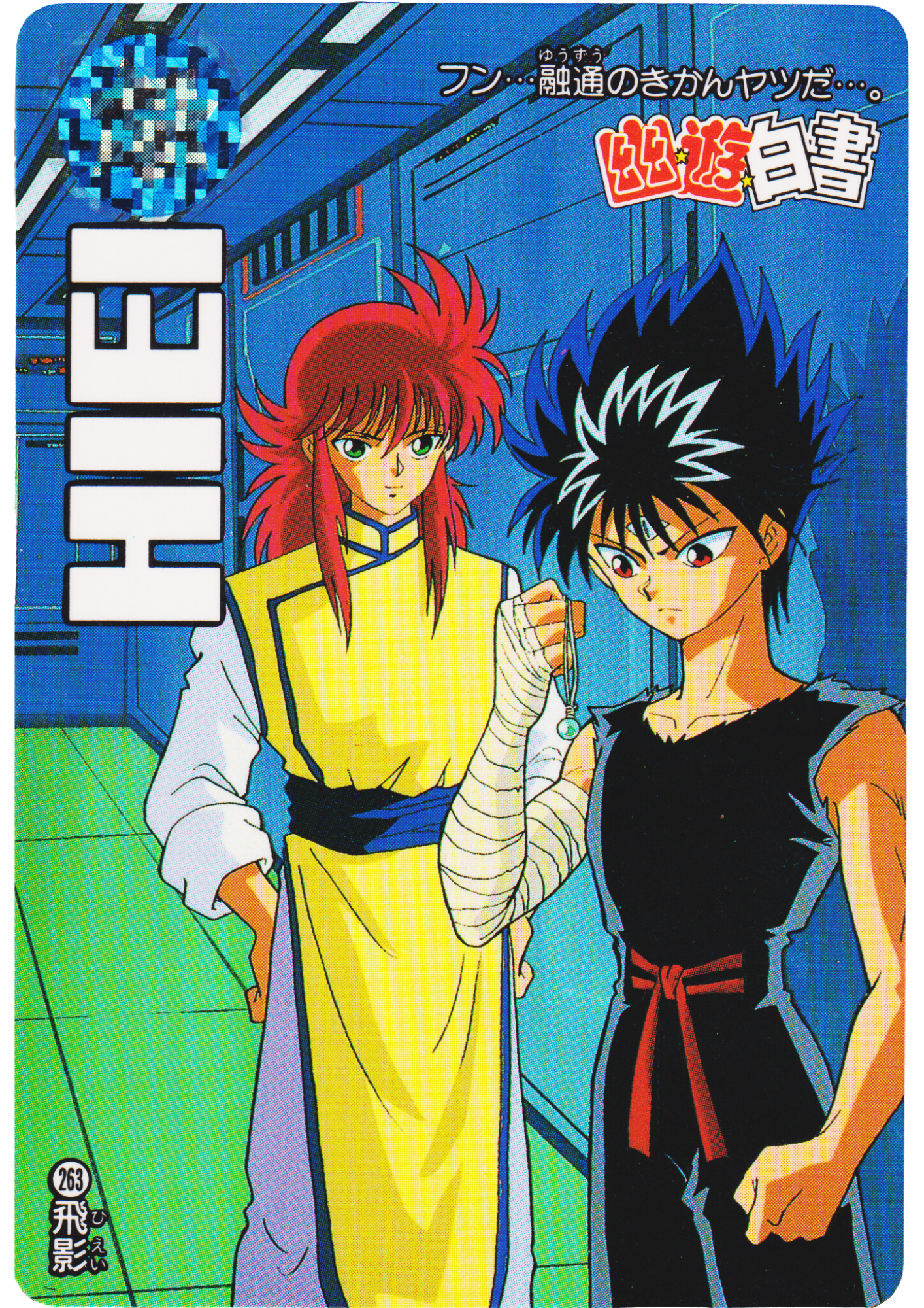 HIEI No.263 | Yu Yu Hakusho Carddass