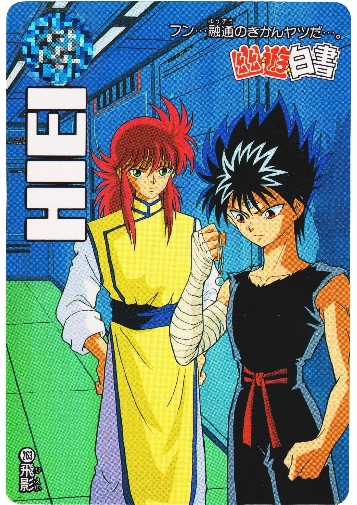 HIEI No.263 | Yu Yu Hakusho Carddass - ChitoroShop