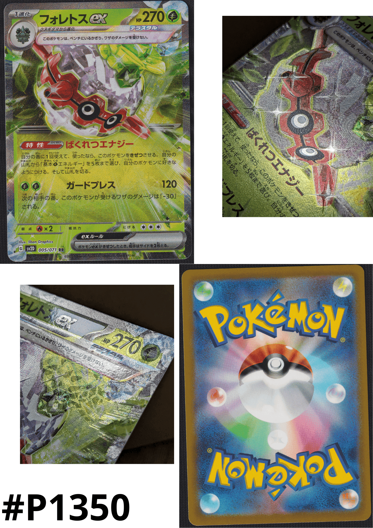 Forretress ex 005/71 RR | Clay Burst sv2D ChitoroShop