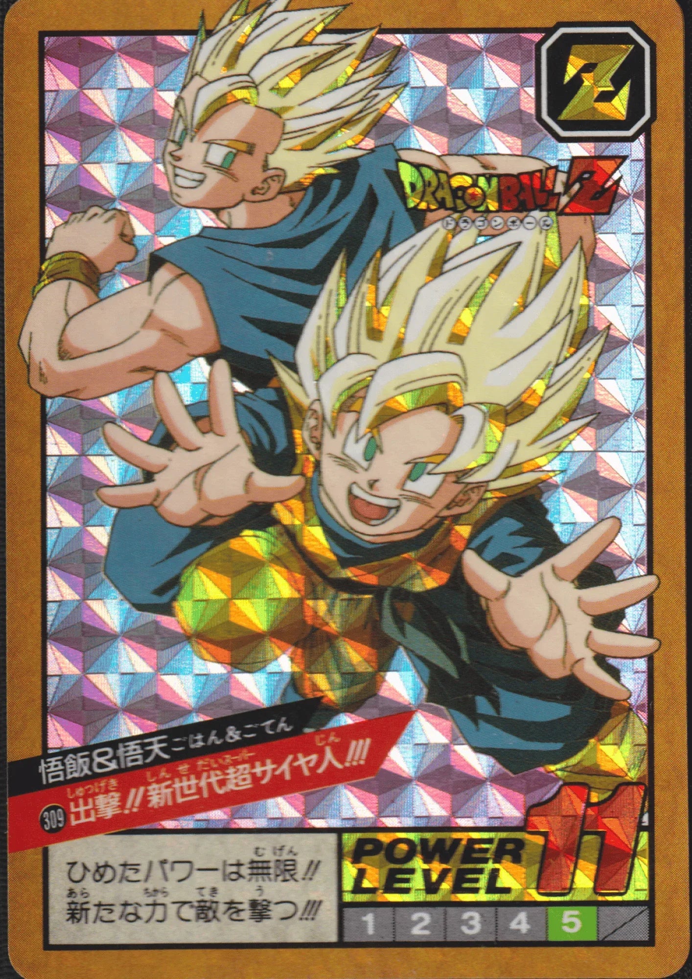 Gohan & Goten No.309 | Carddass Super Battle - ChitoroShop
