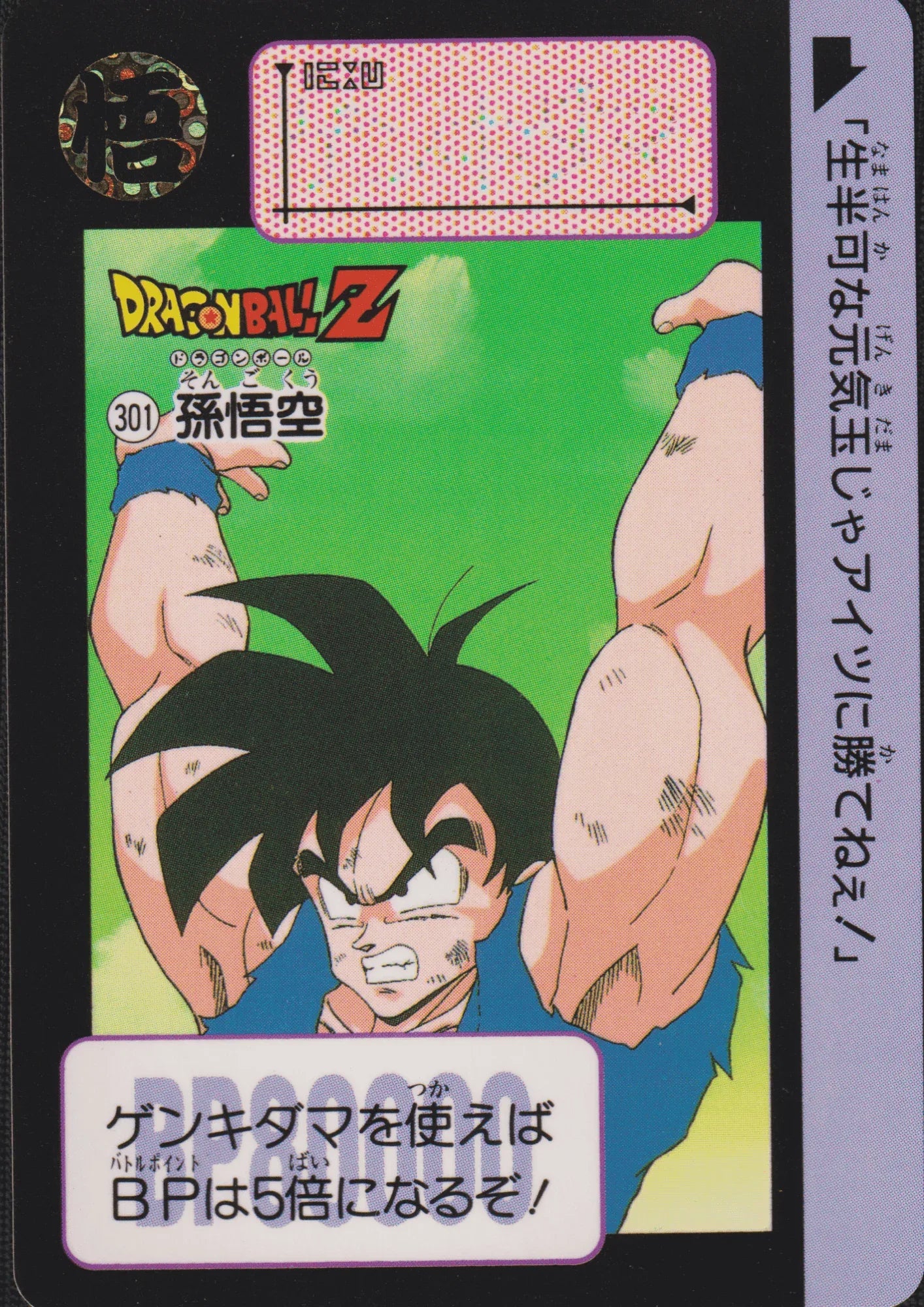 Goku No.301 | Carddass Hondan - ChitoroShop