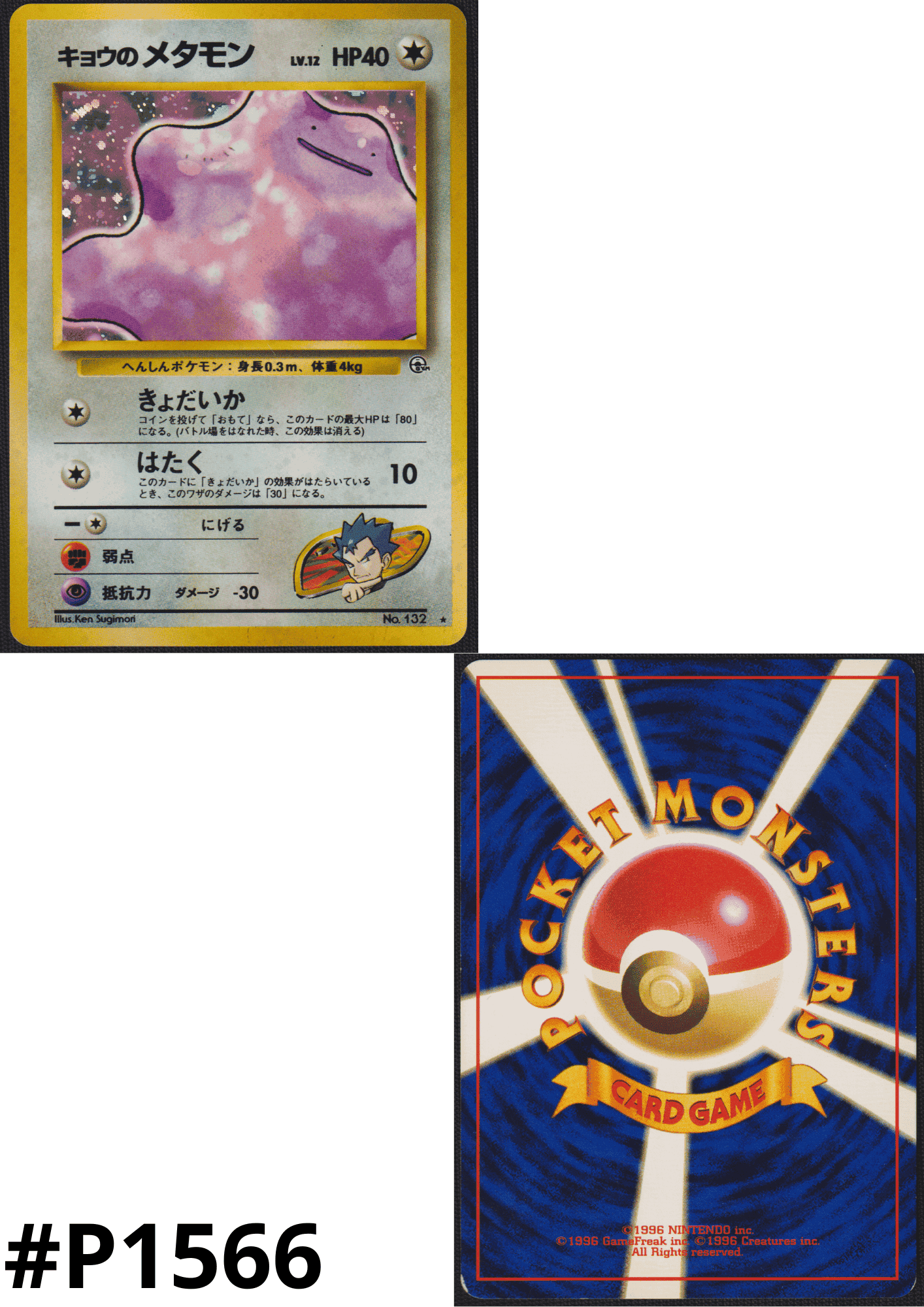 Koga's Ditto No.132 | Gym set ChitoroShop