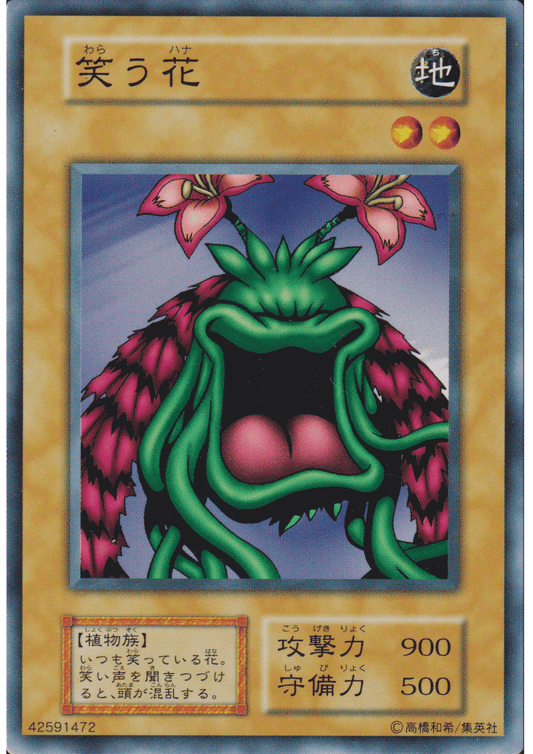 Laughing Flower 42591472 (No Ref) | Vol.6 ChitoroShop