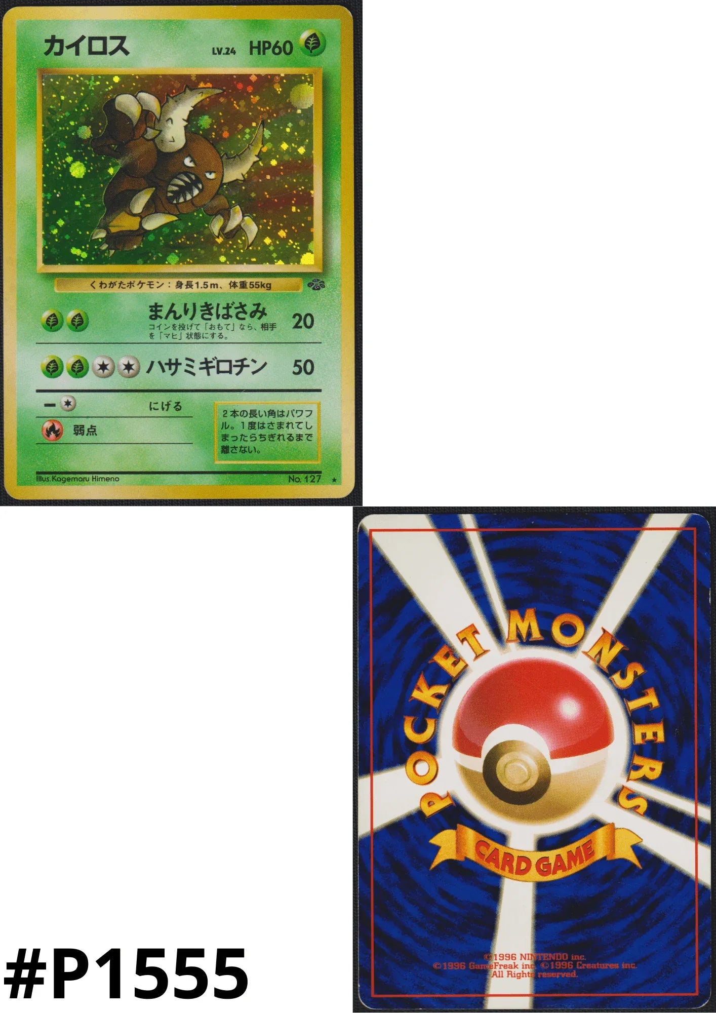 Pinsir No.127 | Jungle - ChitoroShop