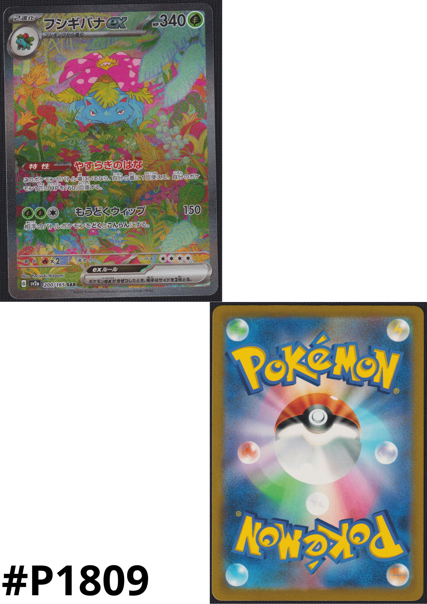 Venusaur ex 200/165 SAR | Pokémon 151