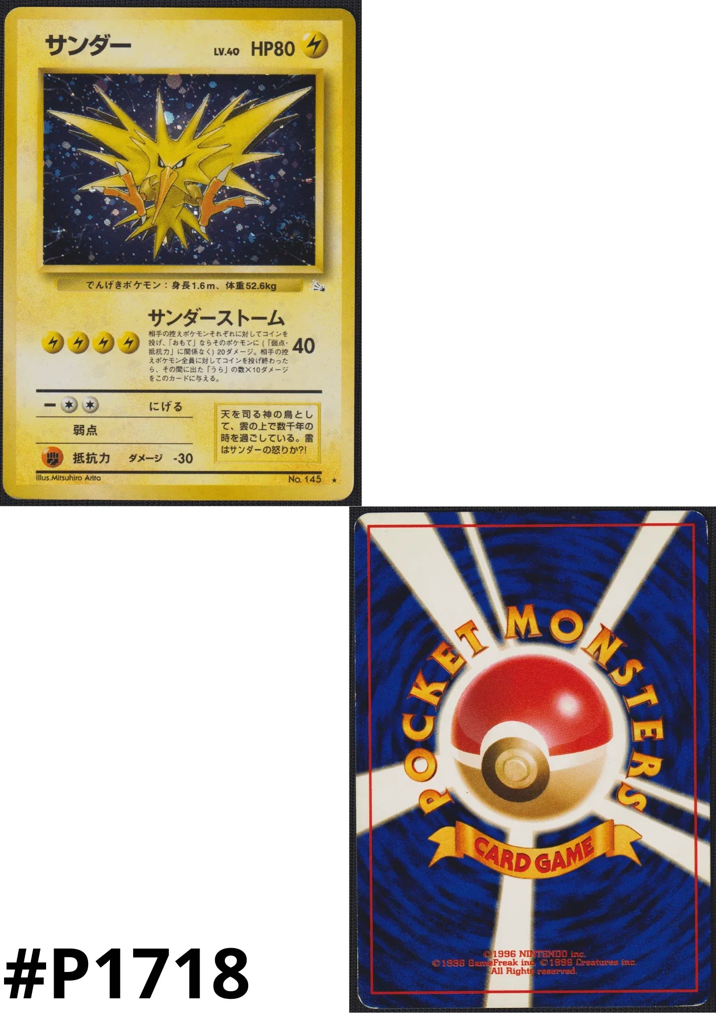 Zapdos No.145 | Fossil - ChitoroShop