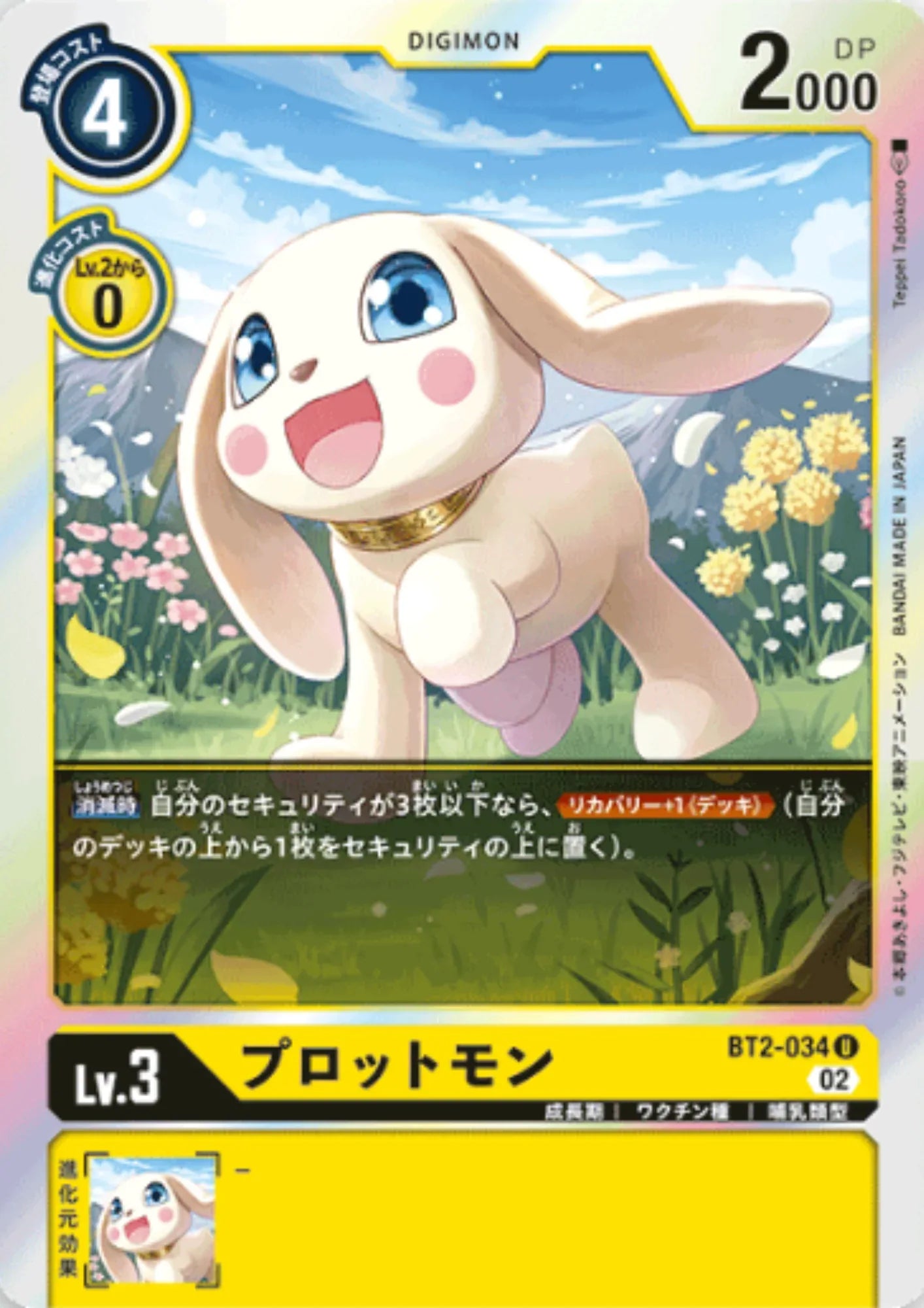 Salamon BT2-034 | RB-01 - ChitoroShop