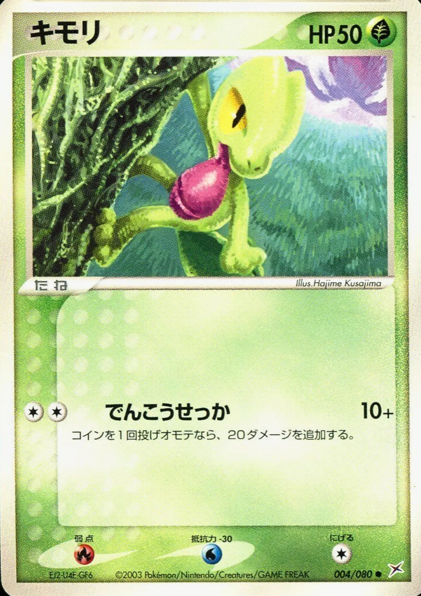 Treecko 004/080 | Magma Vs Aqua - ChitoroShop