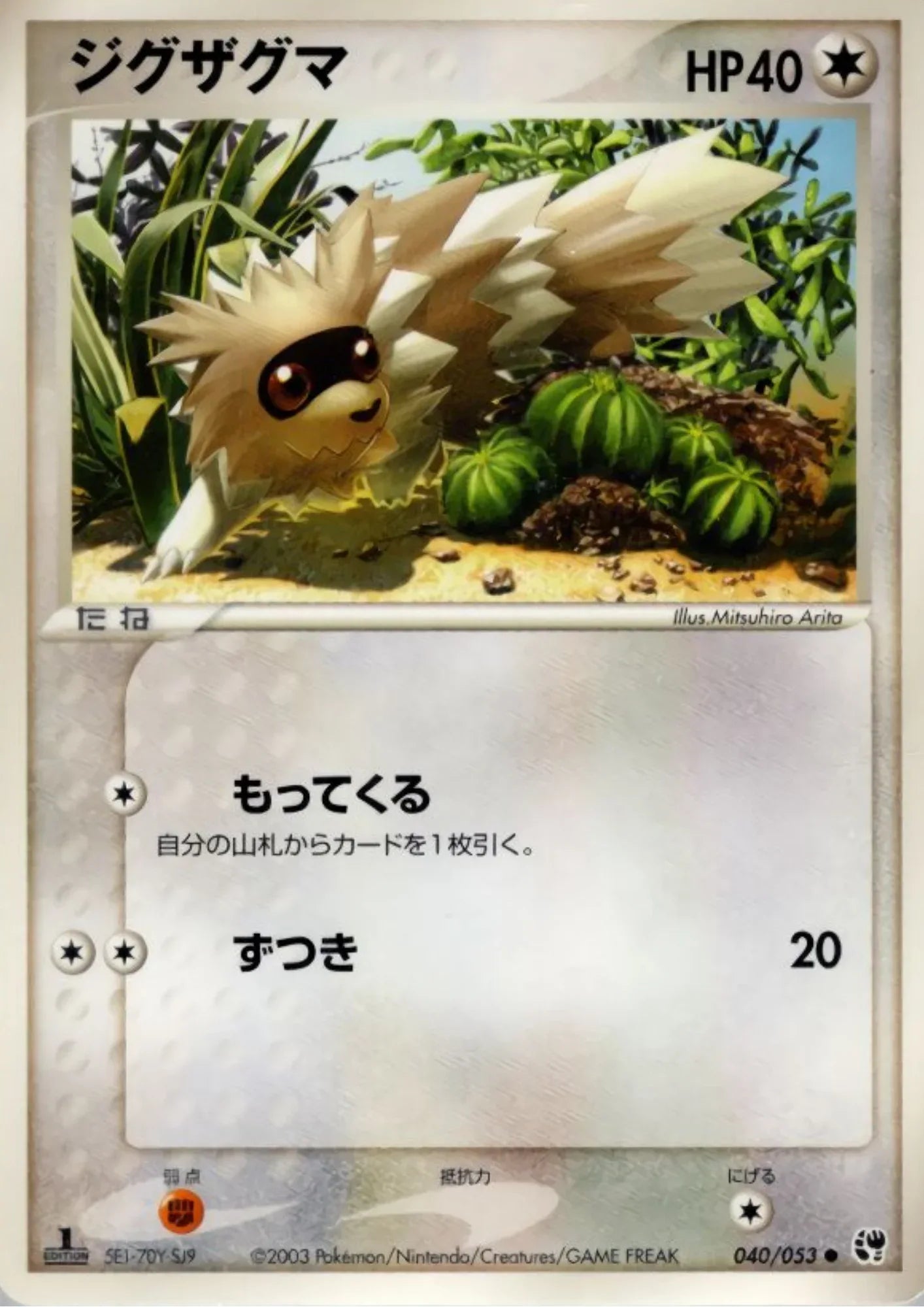 Zigzagoon 040/053 | Miracle of the Desert - ChitoroShop
