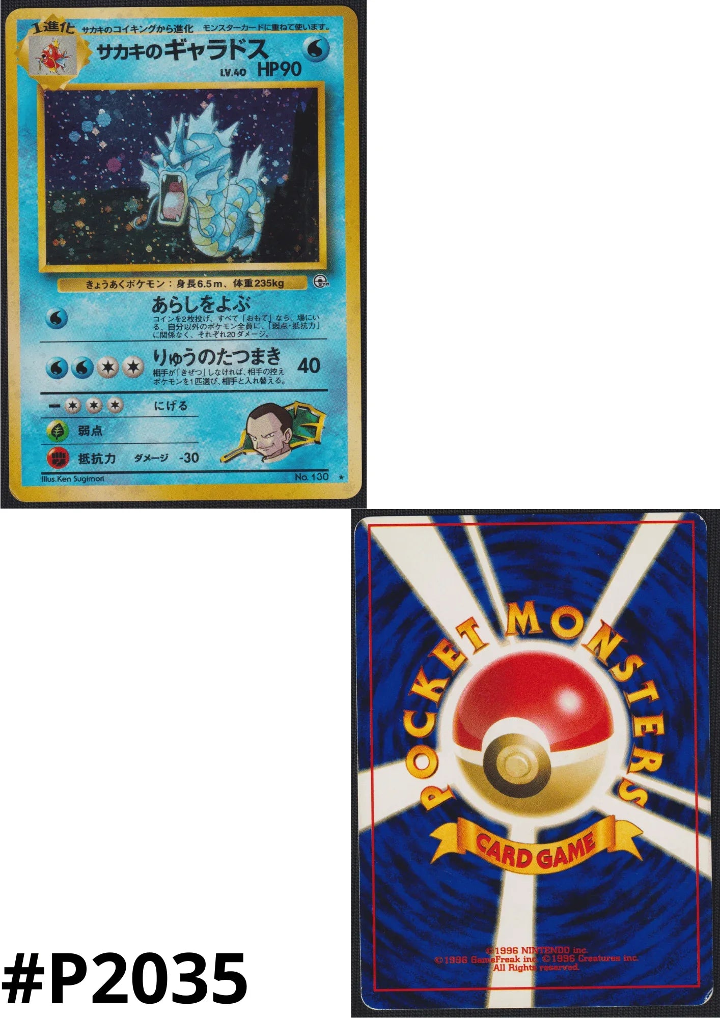 Giovanni's Gyarados No.130 | Pokémon Challenge from the Darkness - ChitoroShop
