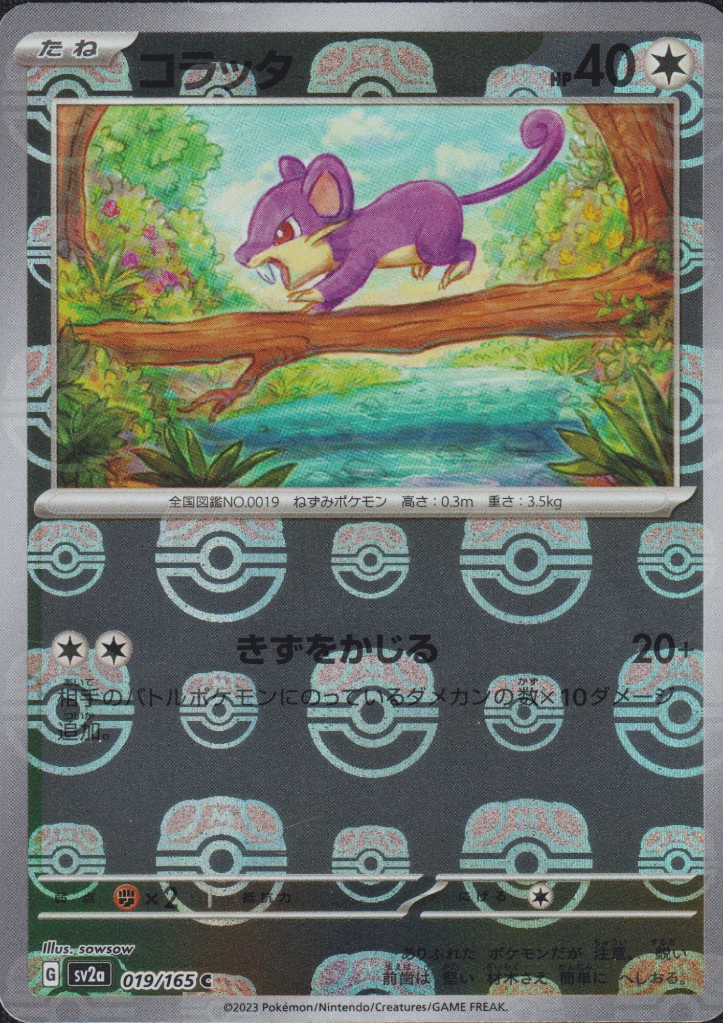 Rattata 019/165 C | Master Ball Mirror | Pokémon 151 - ChitoroShop