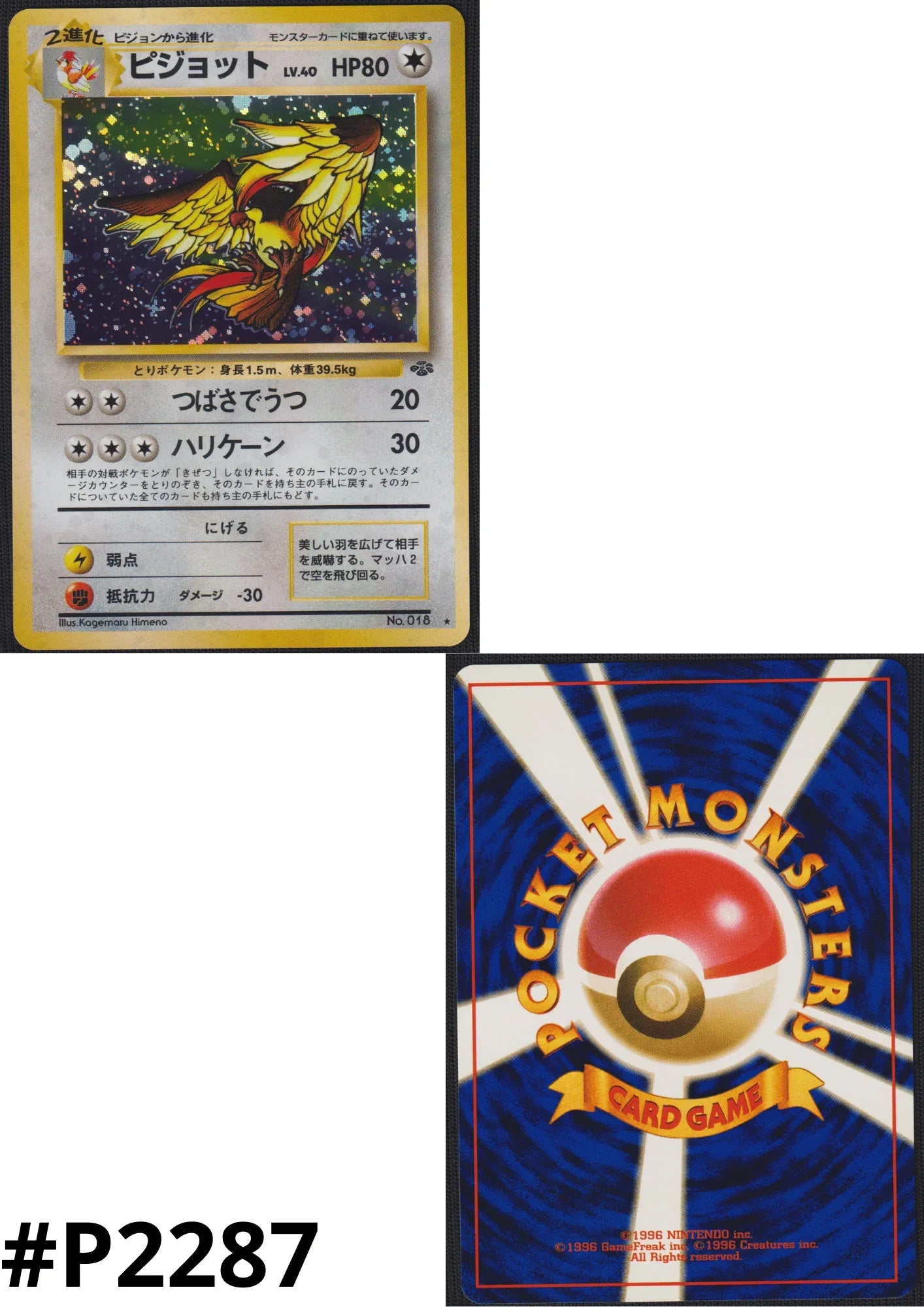 Pidgeot No.018 | Jungle - ChitoroShop