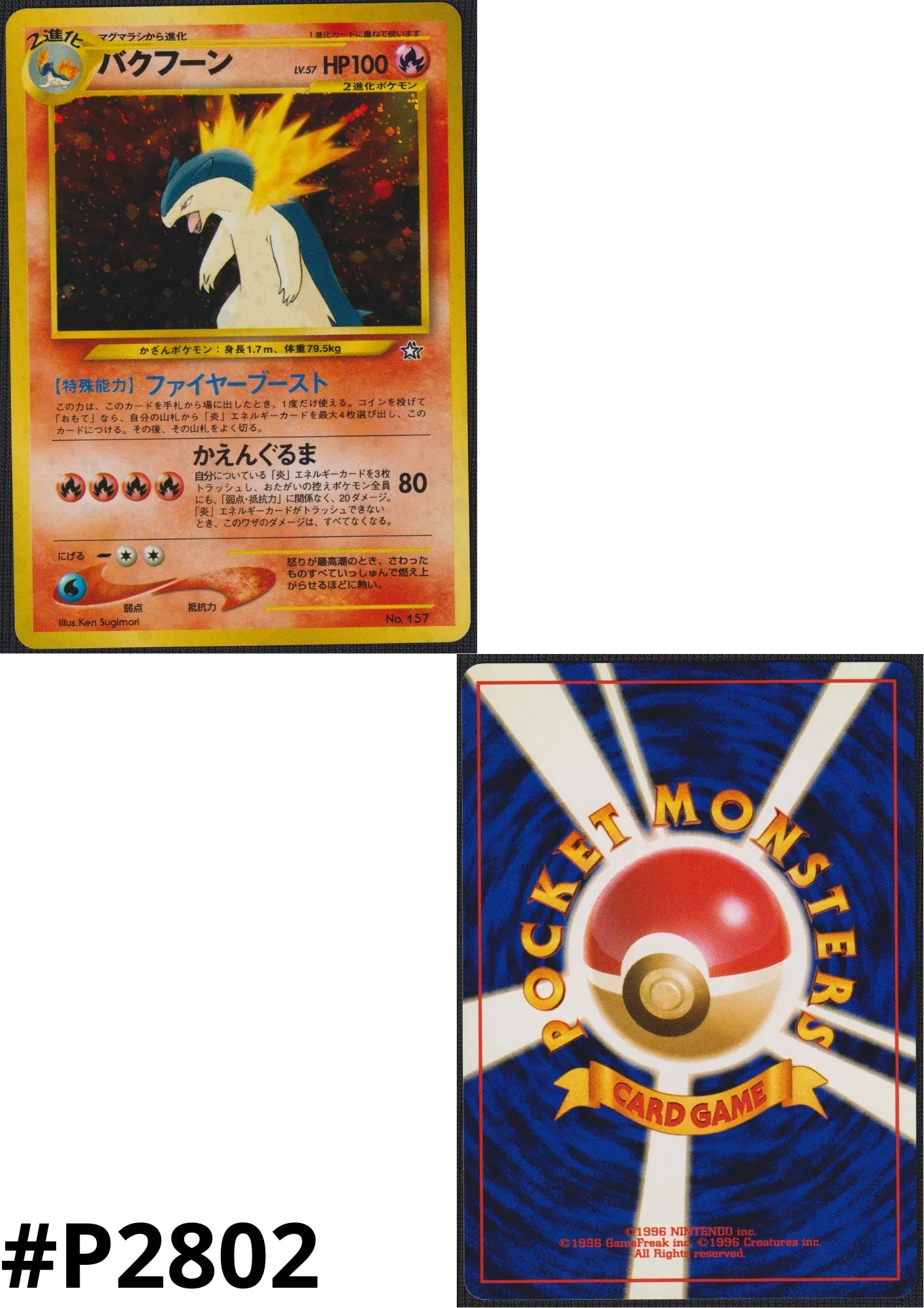 Typhlosion No.157 | Neo Premium File - ChitoroShop
