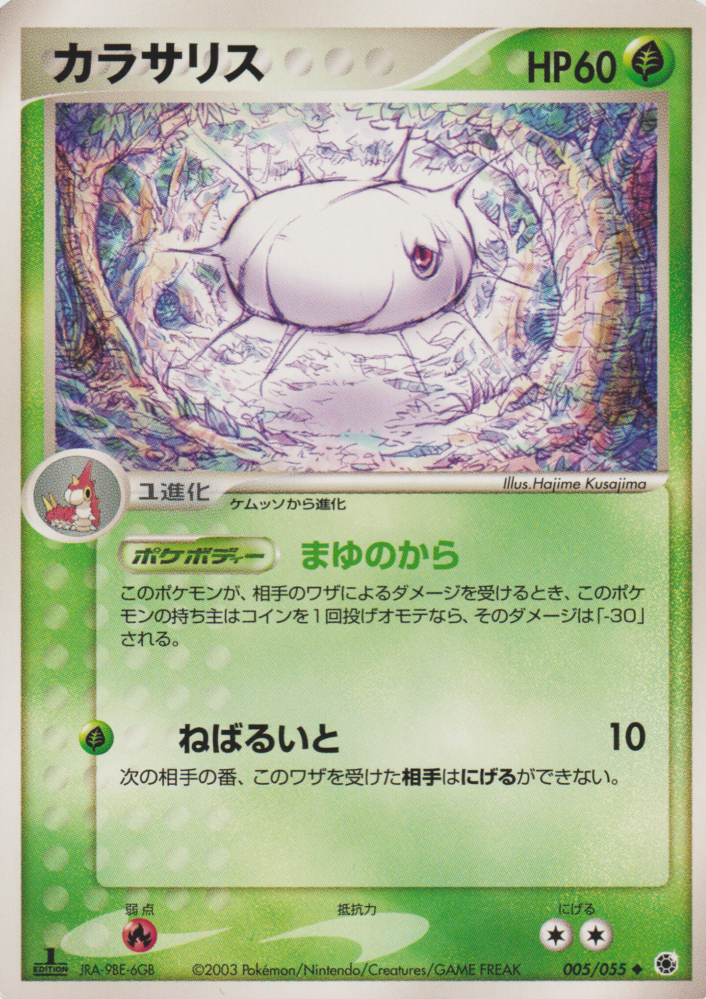 Silcoon 005/055 | ADV Expansion Pack