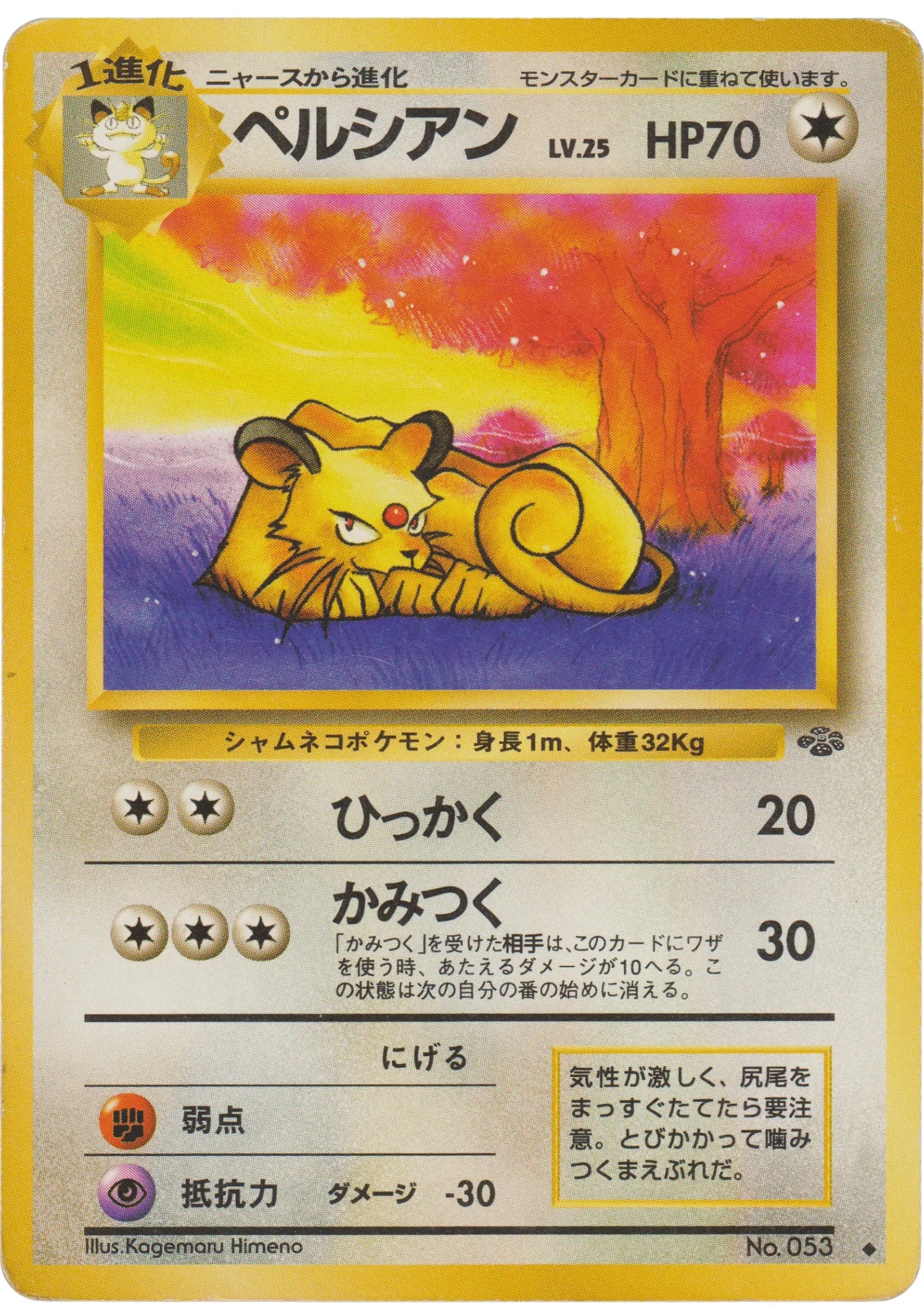 Persian No.053 | Jungle - ChitoroShop